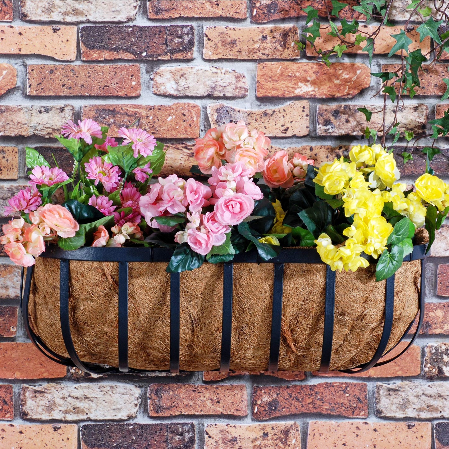 Arcadia Garden Products 1529 Solstice Series Wall Trough Planter, 24-Inch