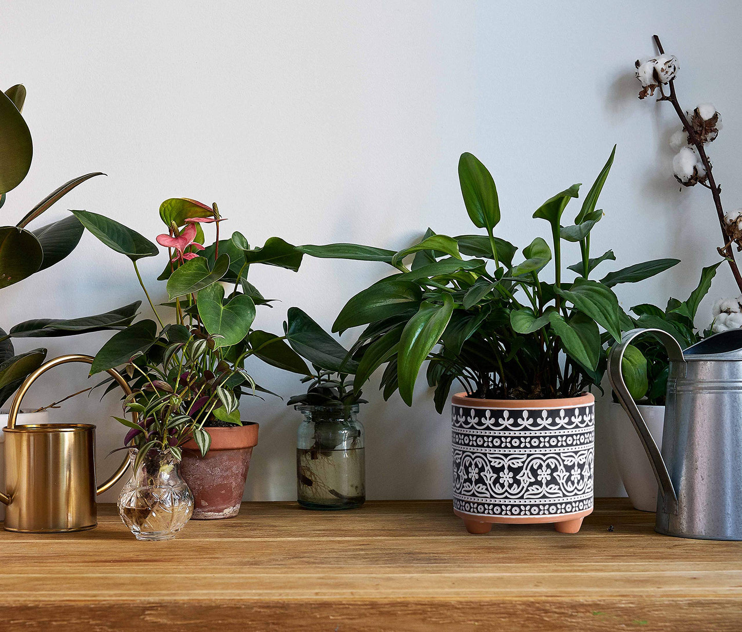 D'vine Dev Set of 2 Terracotta Planter Pots, 4 Inch & 6 Inch, Design Plants Pot with Drainage Hole, Midnight Lace, Terracotta/Black, 31-953-F-2