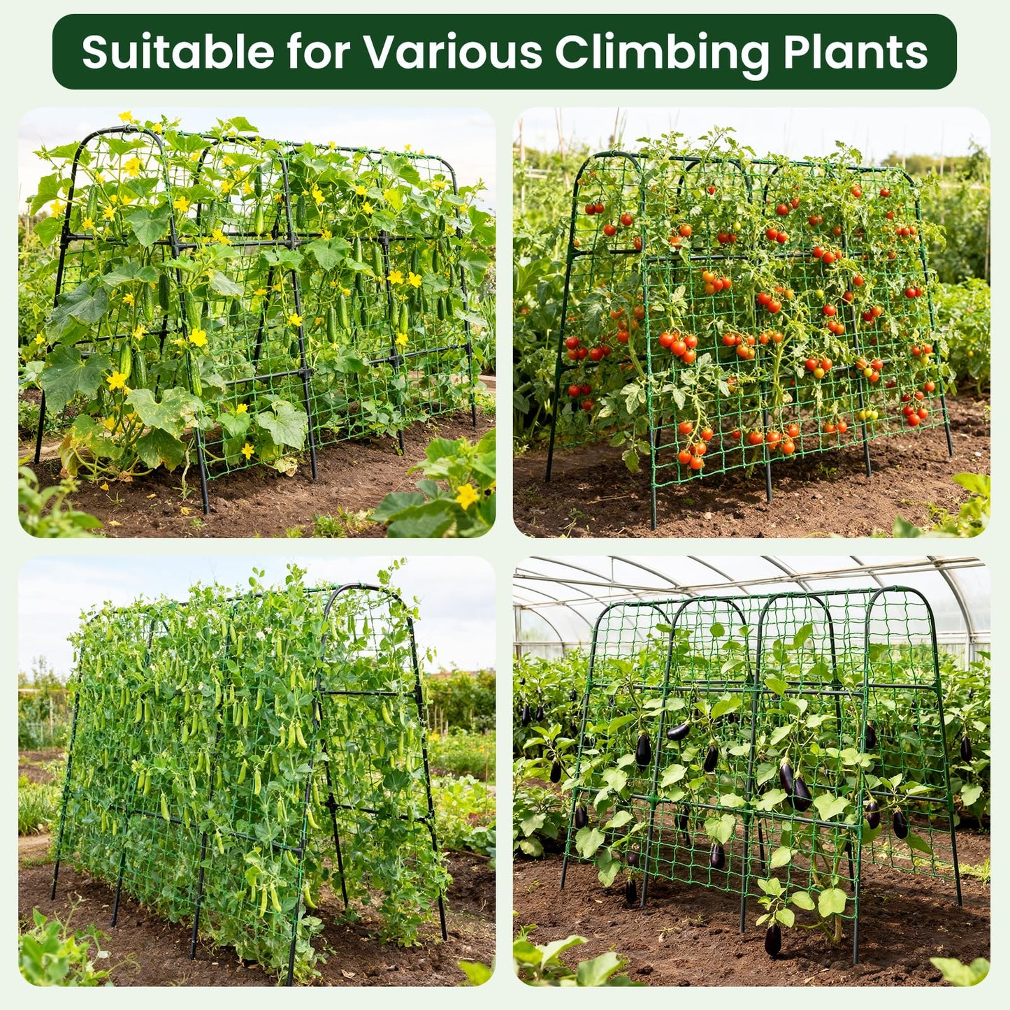 OTOSUNNY Cucumber Trellis, 50x48 inch Metal Garden Arch Trellis for Climbing Plants Outdoor, Plant Support for Vegetable Vine Tomato Green Bean Pea Cucumber Trellis for Raised Bed Garden, Black