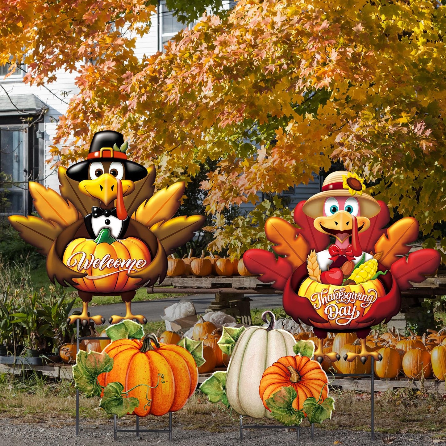 Quzzil 4 Pcs Thanksgiving Turkey Metal Yard Decorations Outdoor Pilgrim Turkey Decorative Garden Stakes With Stakes Large Fall Pumpkin Yard Sign for Thanksgiving Autumn Farmhouse Patio Outdoor