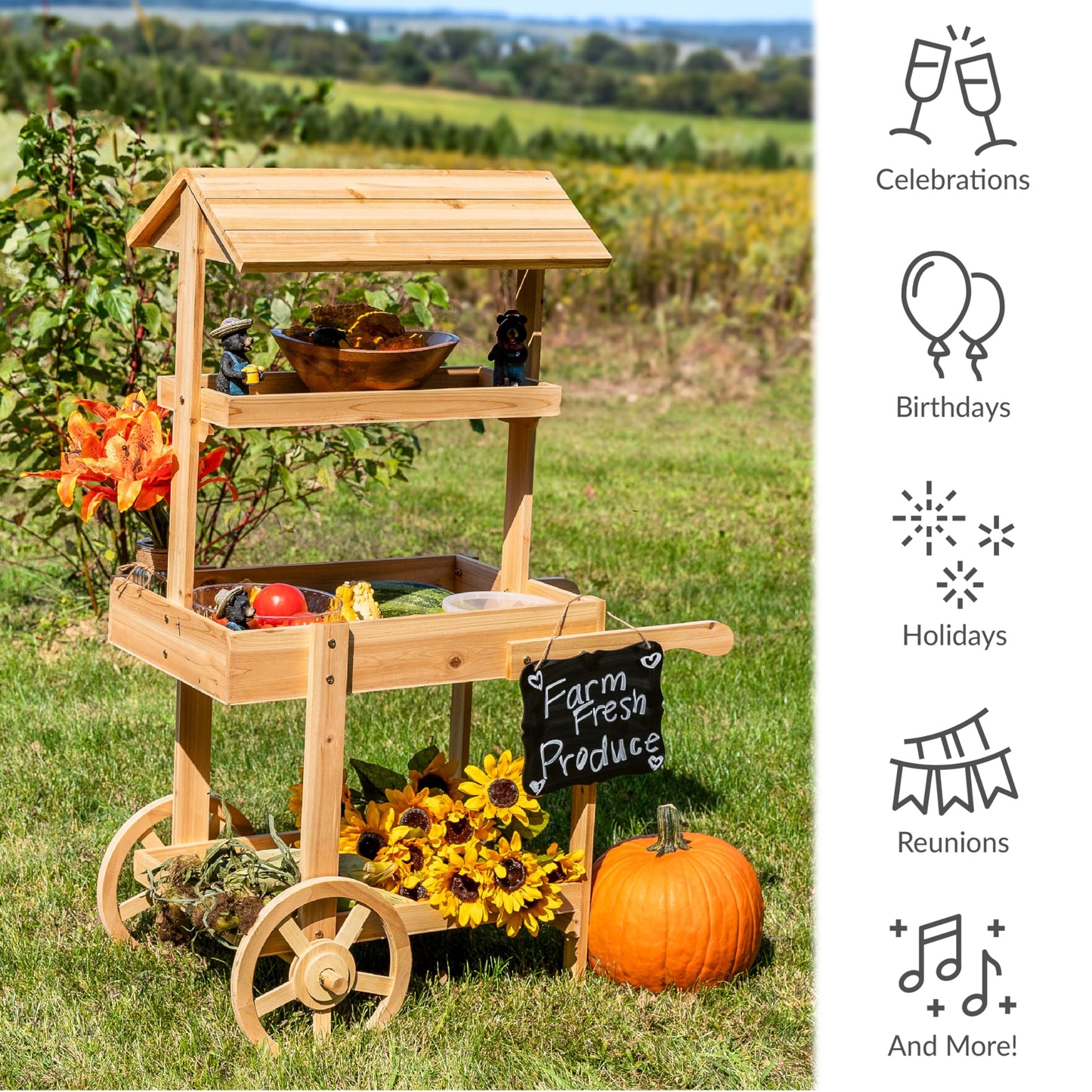 Sunnydaze Country Market Flower Cart Display Stand with Wheels - 2 Shelves - Fir Wood - 30 lb Weight Capacity - Natural Fir