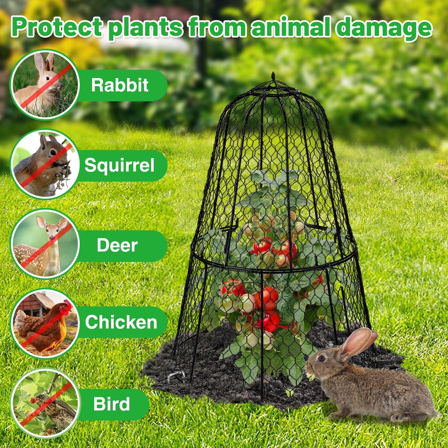 Cloche Plant Protectors from Animals - 17.3"Hx11.8"D Chicken Wire Plant Covers with Removable Flip-Top Design, Rustproof Metal Garden Cloches Keep Rabbits, Squirrels, Deers, Birds Out - 5 Pack
