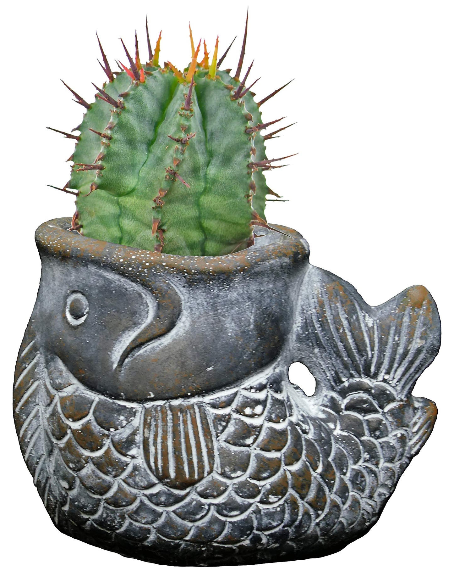 Classic Home and Garden Cement Buddies Animal Planter - Cute Desk Decoration - UV Coated Animal Vase w/Removable Drain Plug -Succulent Planter for Indoor/Outdoor Use (Largemouth Bass, Bronze, Small)