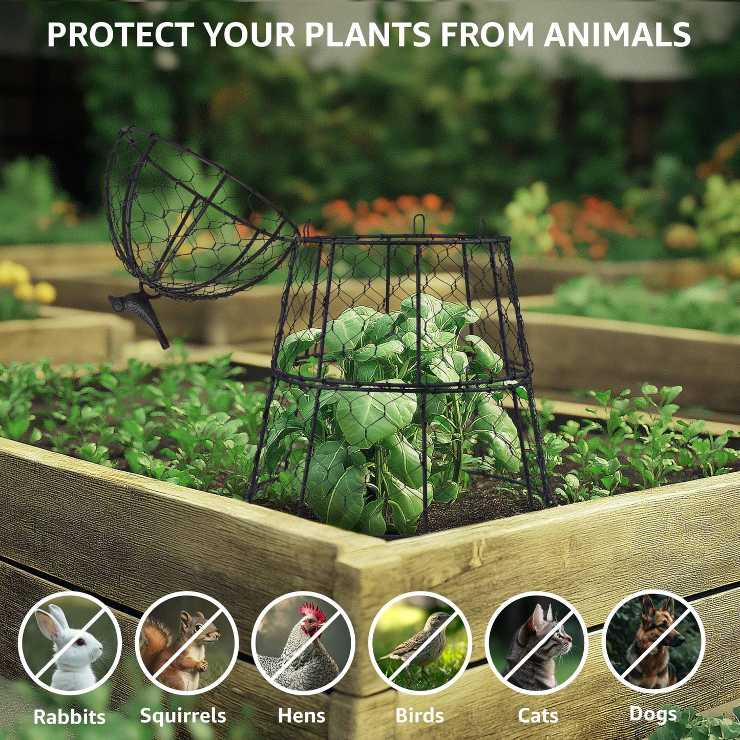 DHAMPOOH Pack of 6 Heavy-Duty Chicken Wire Plant Cloches – Rustproof Garden Protectors and Plant Cages for Vegetables and Flowers – Safeguard Plants from Deer and Critters – 20” x 12”