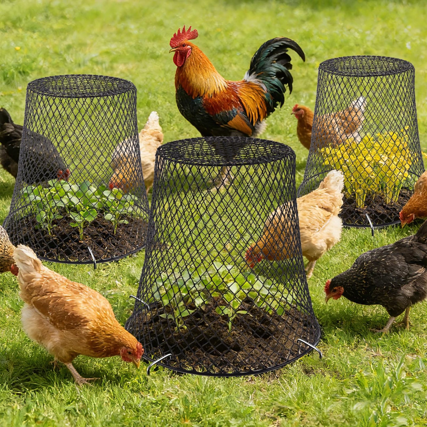 Cyrico 12 Pcs Plant Protectors from Animals, Chicken Wire Cloche Kit with Stakes and Labels, Metal Mesh Garden Cloches Keeps Out Rabbits, Squirrels and Birds for Seedlings Vegetables Flowers Outdoor