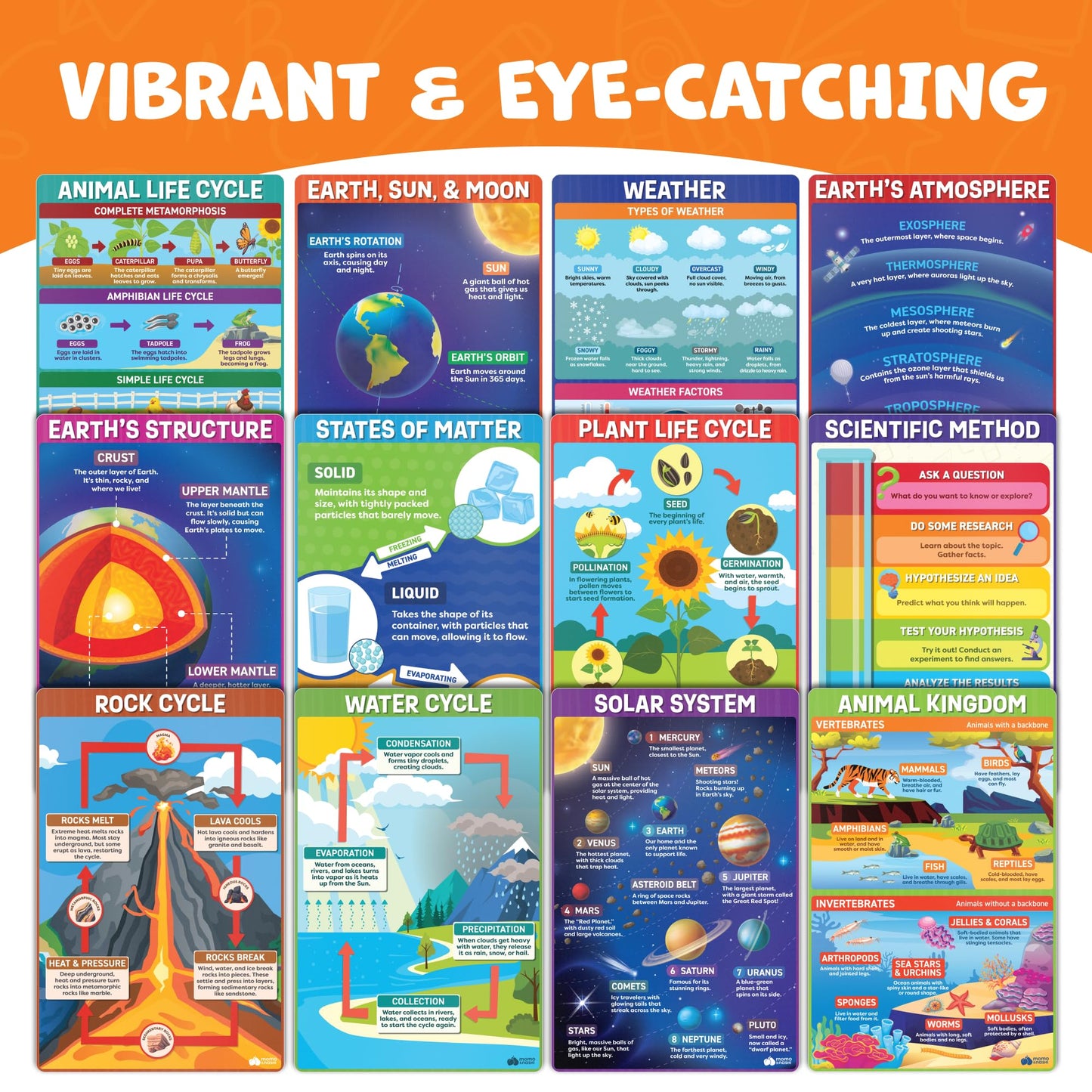 Science Posters for Classroom Middle School Elementary School - 12pc Science Classroom Decor Must Haves Posters Decorations - 17” x 11” - Scientific Method, Solar System, Matter, Animal Kingdom