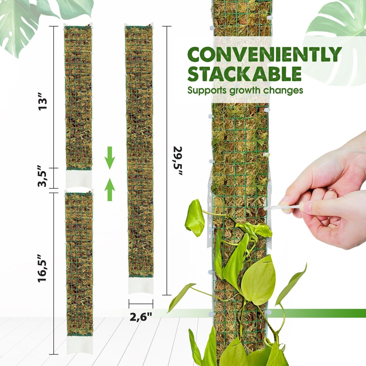 DUSPRO D-Shaped Plastic Moss Poles for Climbing Plants Monstera Stackable Moss Pole for Plants Moss Plant Pole Handmade Moss Stick for Indoor Plants Grow Upward 2 Pack 16.5 inches
