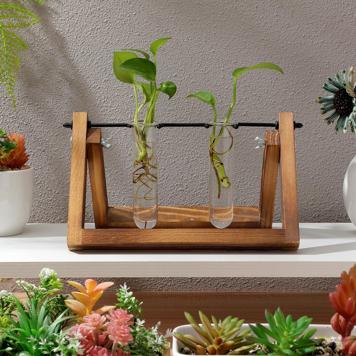 SOLUSTRE 5pcs Glass Test Tube Plant Propagation Vase Set 2.5x3x11cm Floral Tubes Hydroponic Water Culture Station for Small Terrarium Plants and Home Décor