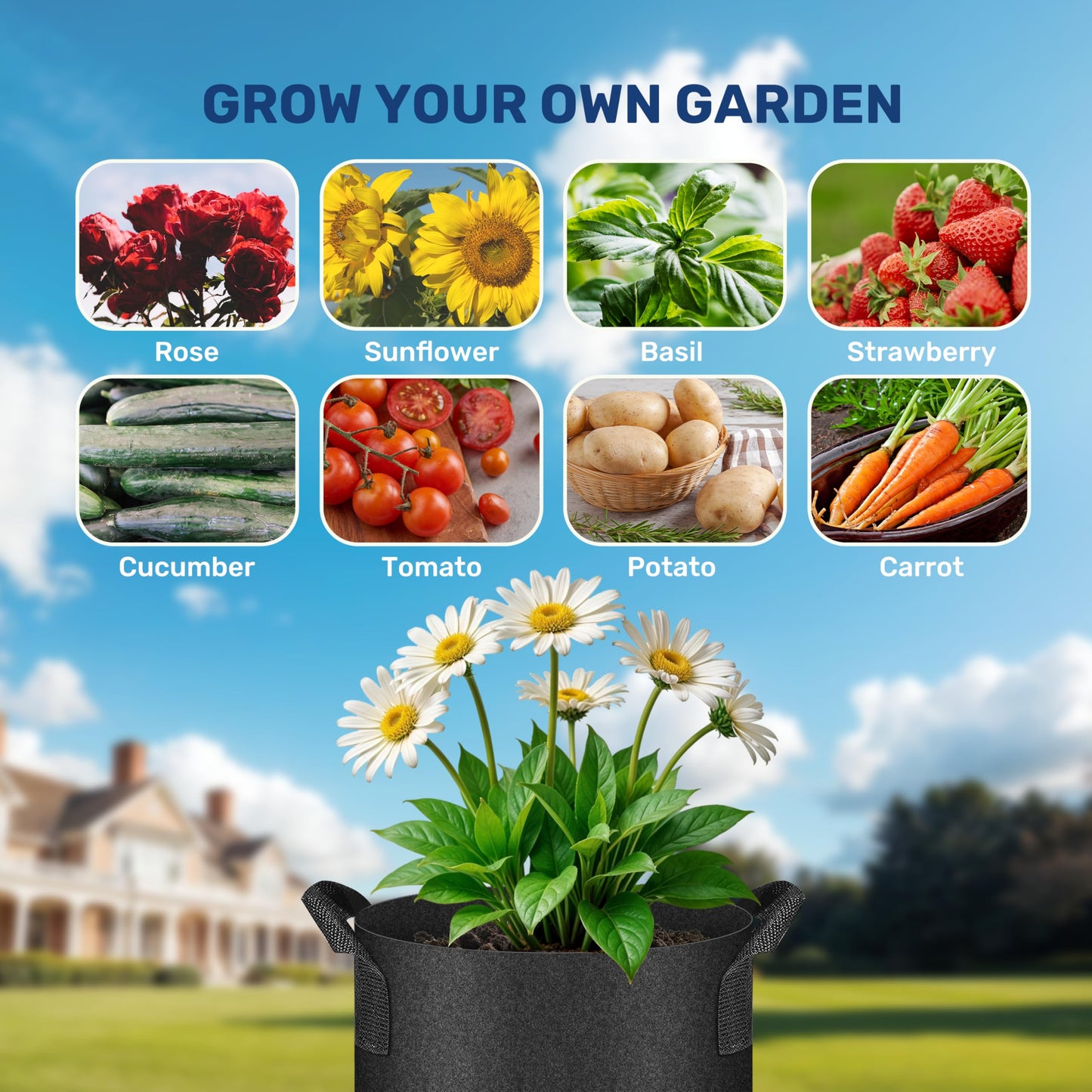 HealSmart 10 Gallon 6 Pack Nonwoven Grow Bags, Aeration Fabric Pots with Handles, Heavy Duty Garden Grow Pots for Tomato Vegetables Flowers, 6 Plant Labels, Black