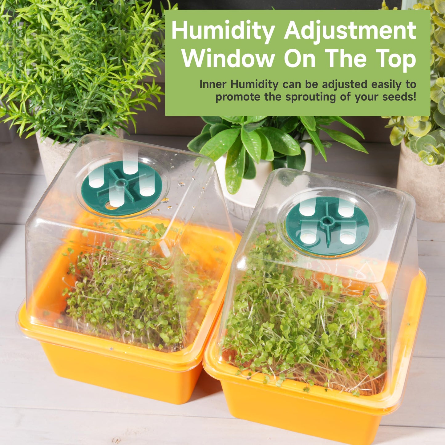 Microgreen Growing Trays, 5" x 5" Sprouting Tray with Humidity Dome, 1.2 mm Small Mesh Holes, BPA Free, Sprouter Kit for Growing Mirco Seeds, Like Broccoli, Alfalfa, Radish, Clover - 6 Pack | Colorful