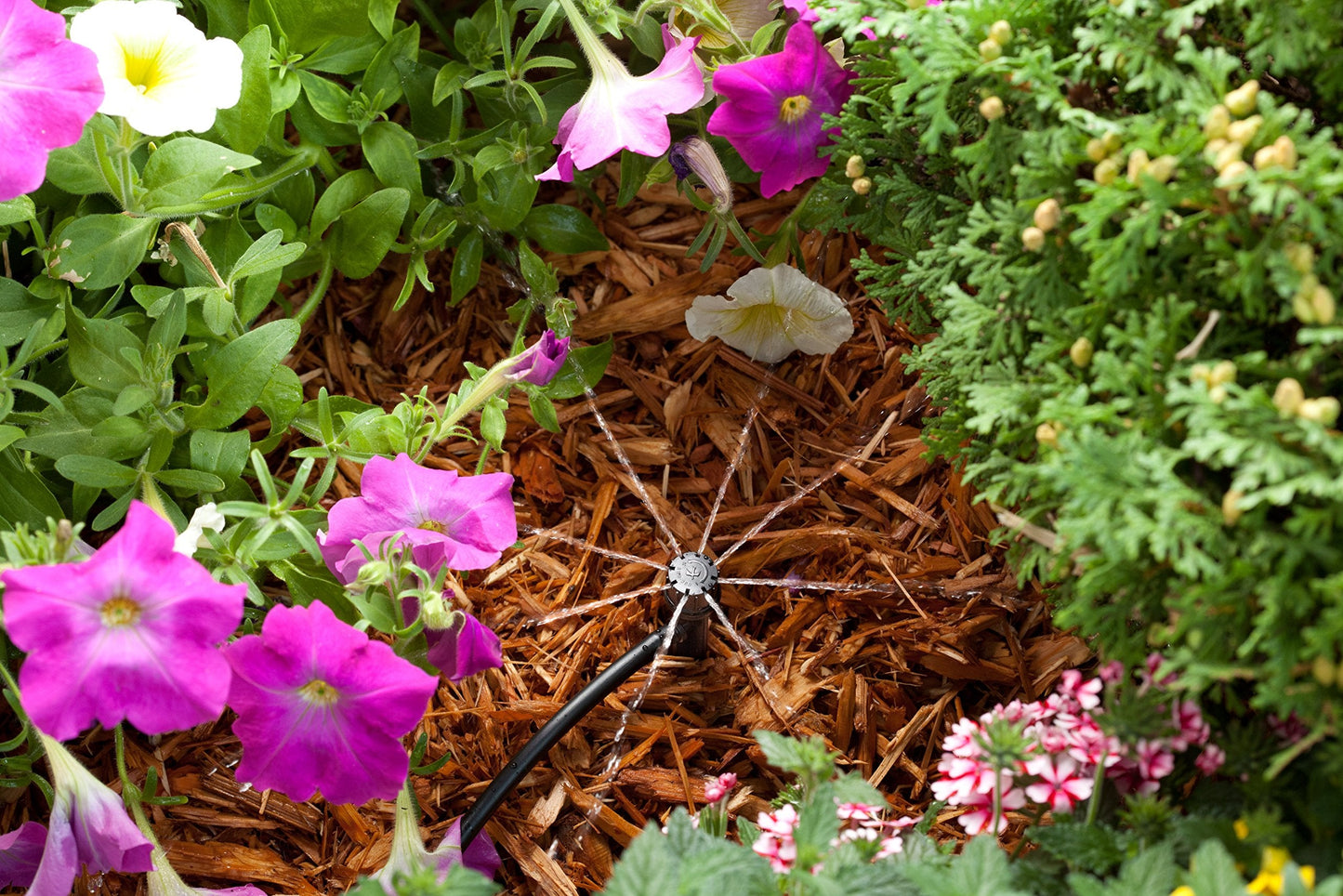 Rain Bird LNDDRIPKIT Drip Irrigation Landscape/Garden Watering Kit with Drippers, Micro-Bubblers, Micro-Sprays