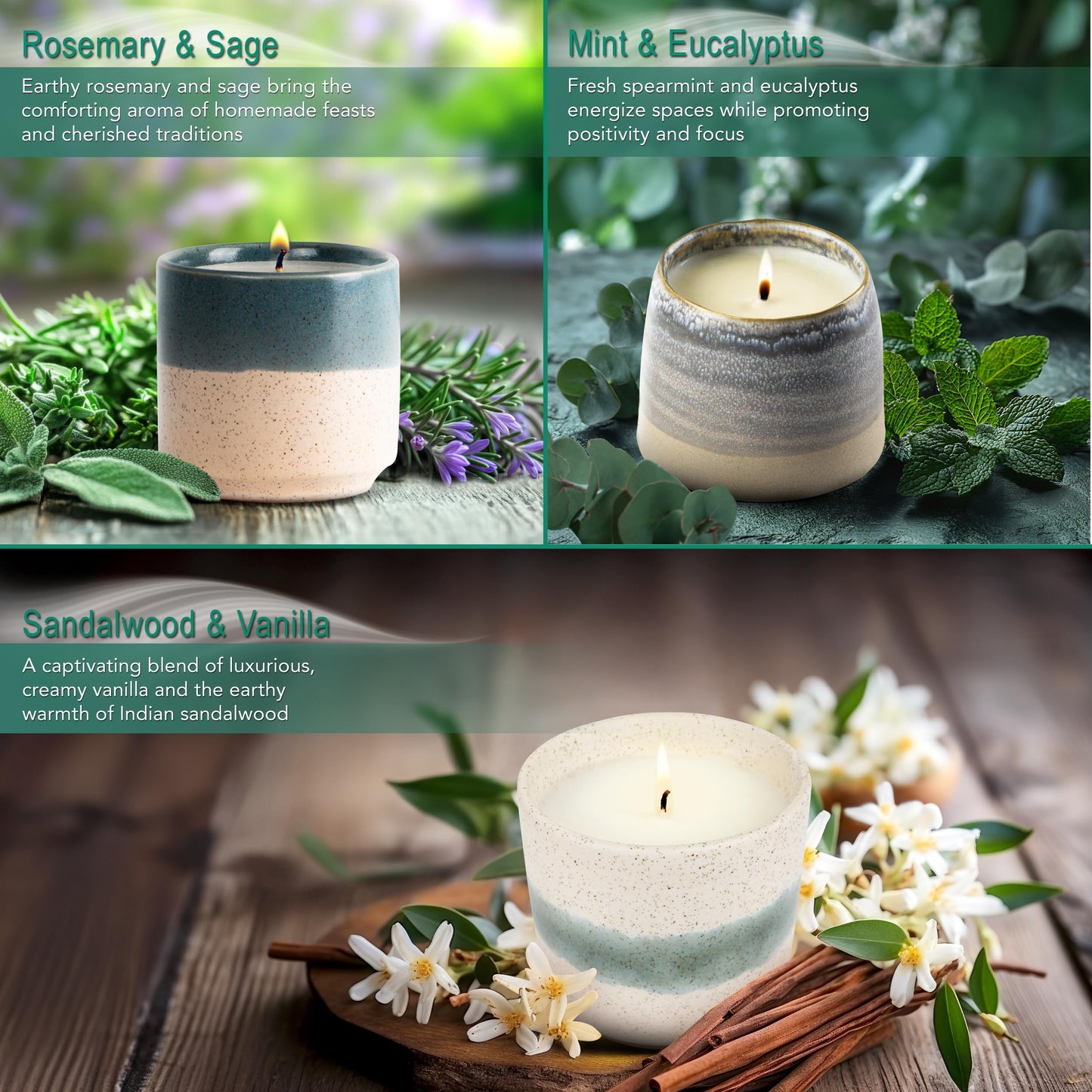 The Growing Candle, Scented Candles 3 Pack, 27oz Natural Soy Wax, Sandalwood Vanilla, Mint Eucalyptus, Rosemary Sage, Aromatherapy Sets, Holiday Gift Set for Women