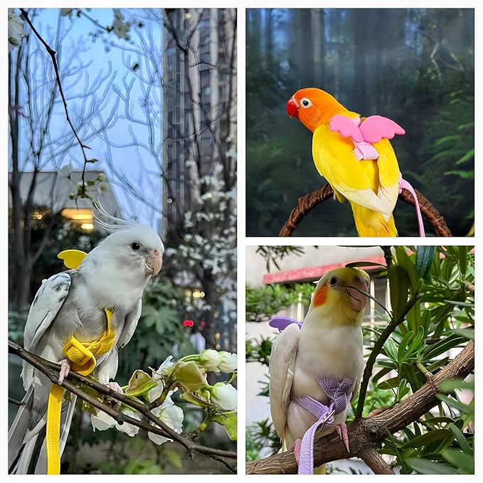 3 Sets Pet Parrot Bird Harness and Leash with Cute Wing, Adjustable Bird Flying Harness Straps Outdoor Training Traction Rope for Parrots Pigeons Lovebird Cockatiel(S,Pink, Yellow&Purple)