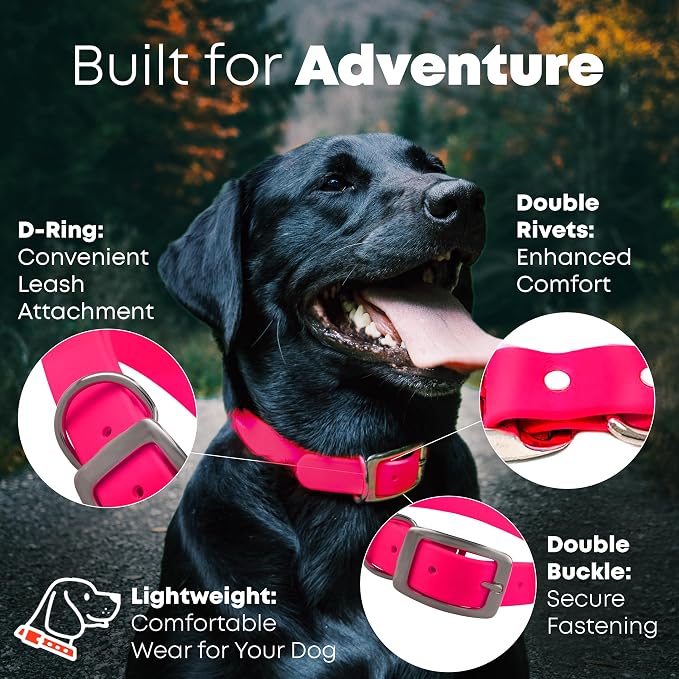 Regal Dog Products Medium Pink Waterproof Dog Collar and Leash Set | Heavy Duty Double Buckle & D Ring - 5'ft Leash | Adjustable Biothane Dog Collar | Chew Resistant Waterproof Collar for Dogs