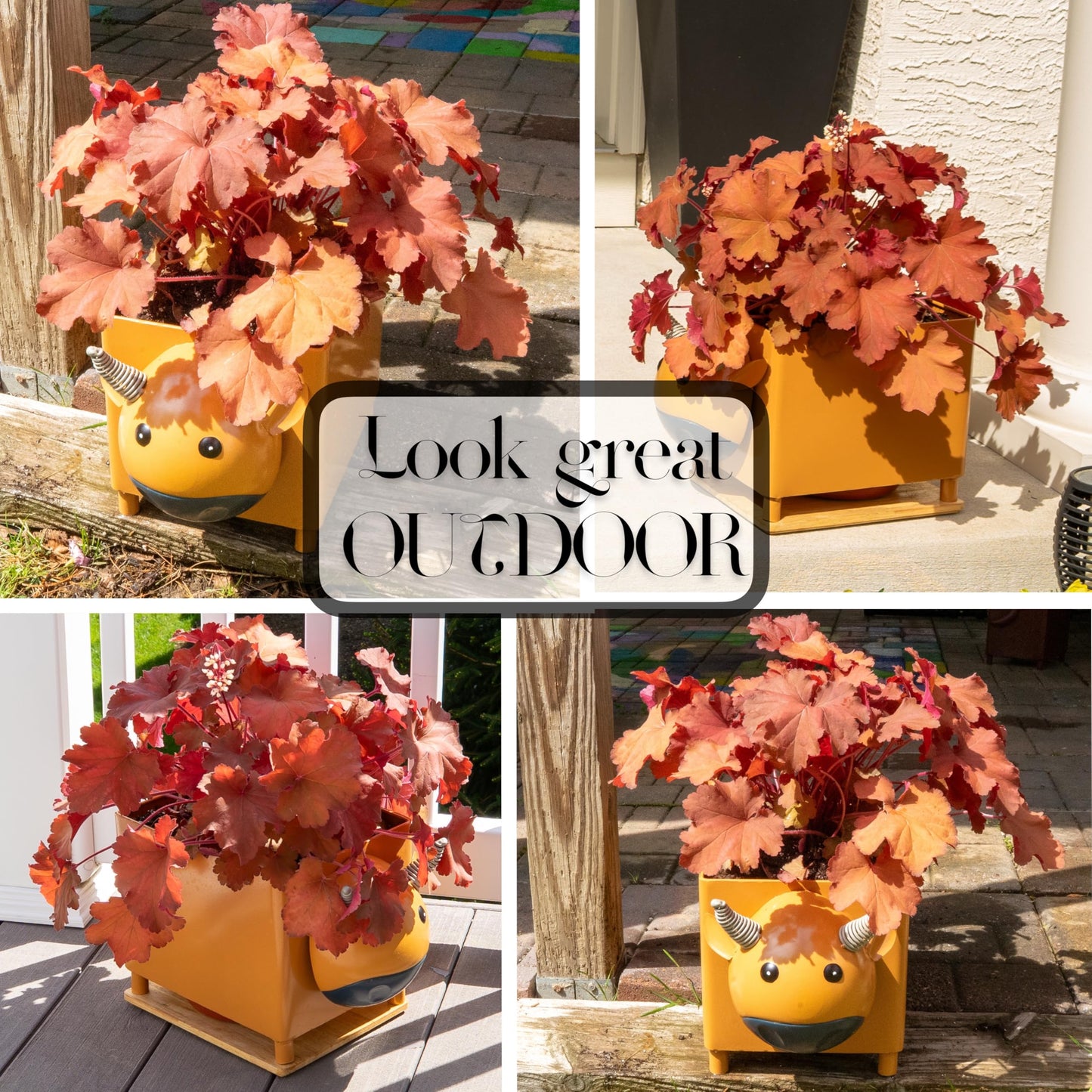 Made Easy Kit Animal Planter Box – Metal Plant Pot with Drainage, Drip Tray & Wooden Base – Indoor Outdoor Cute Garden & Yard Décor - All Weather Durable (Cow)