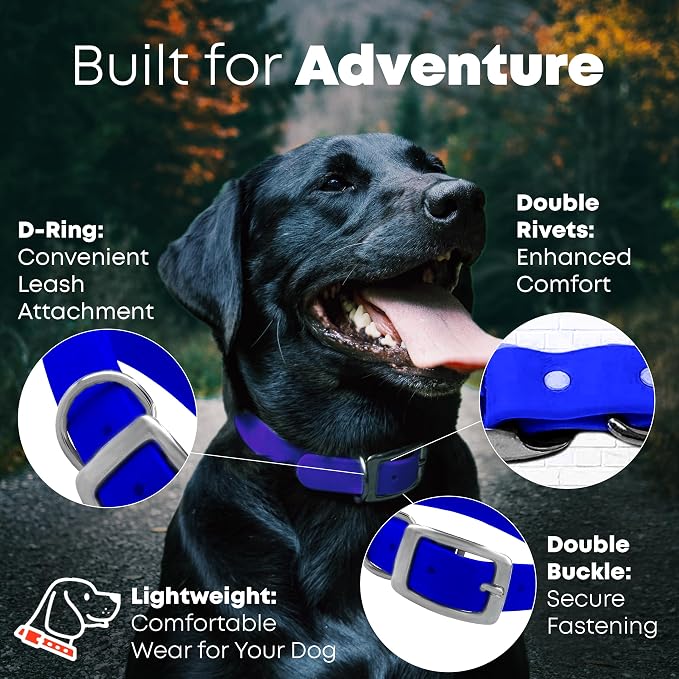 Regal Dog Products Large Blue Waterproof Dog Collar and Leash Set | Heavy Duty Double Buckle & D Ring - 5'ft Leash | Adjustable Biothane Dog Collar | Chew Resistant Waterproof Collar for Dogs