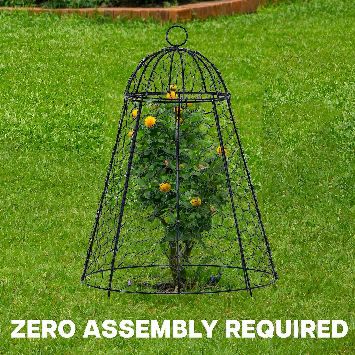 Life Finds Chicken Wire Garden Cloche Set, Protective Plant Cover for Flowers and Produce with Removable Top, Protection from Animals, Pack of 6, LF-GC6P