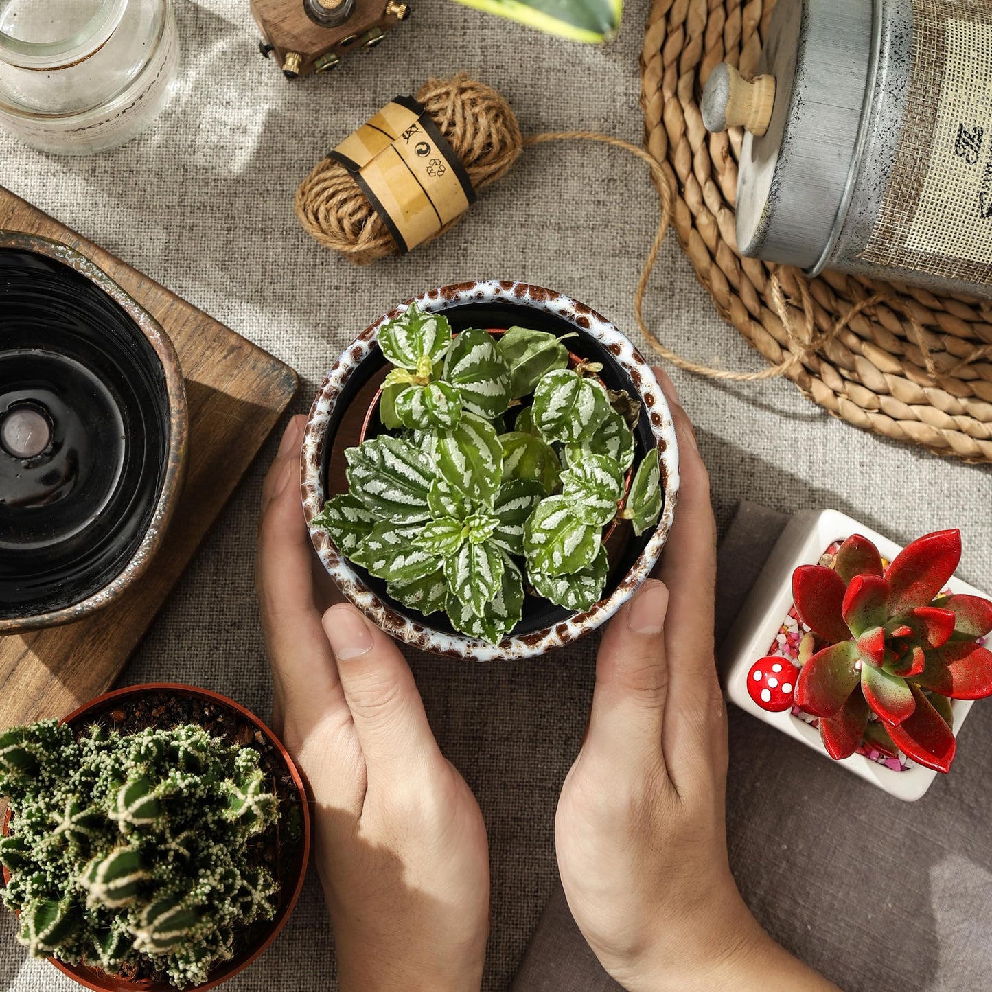 4+5.75 Inch Ceramic Planter Set of 2 with Drainage Hole and Saucer for Plants, Indoor-Outdoor Large Round Succulent Orchid Flower Pot -Reactive Glaze Speckled(Inner-pots not Larger Than 5 Inch)