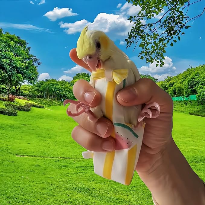 2Pcs Bird Diapers Bird Harness Flight Suits Diapers with 80 Inch Flying Leash Parrot Nappy Washable Cute Urine Wet Suit for Cockatiel Conure Macaw Budgies Parakeet-Pineapple&Watermelon,M
