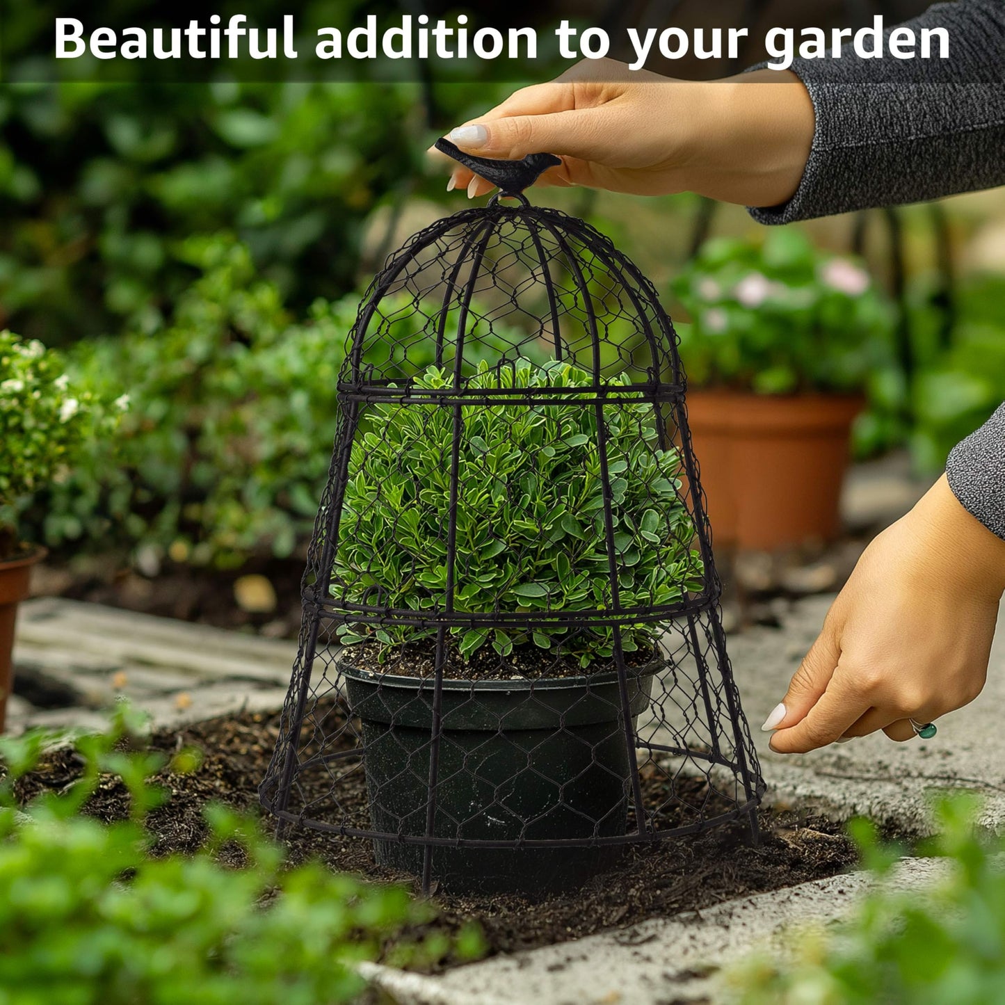 DHAMPOOH Pack of 12 Heavy-Duty Chicken Wire Plant Cloches – Rustproof Garden Protectors and Plant Cages for Vegetables and Flowers – Safeguard Plants from Deer and Critters – 20” x 12”