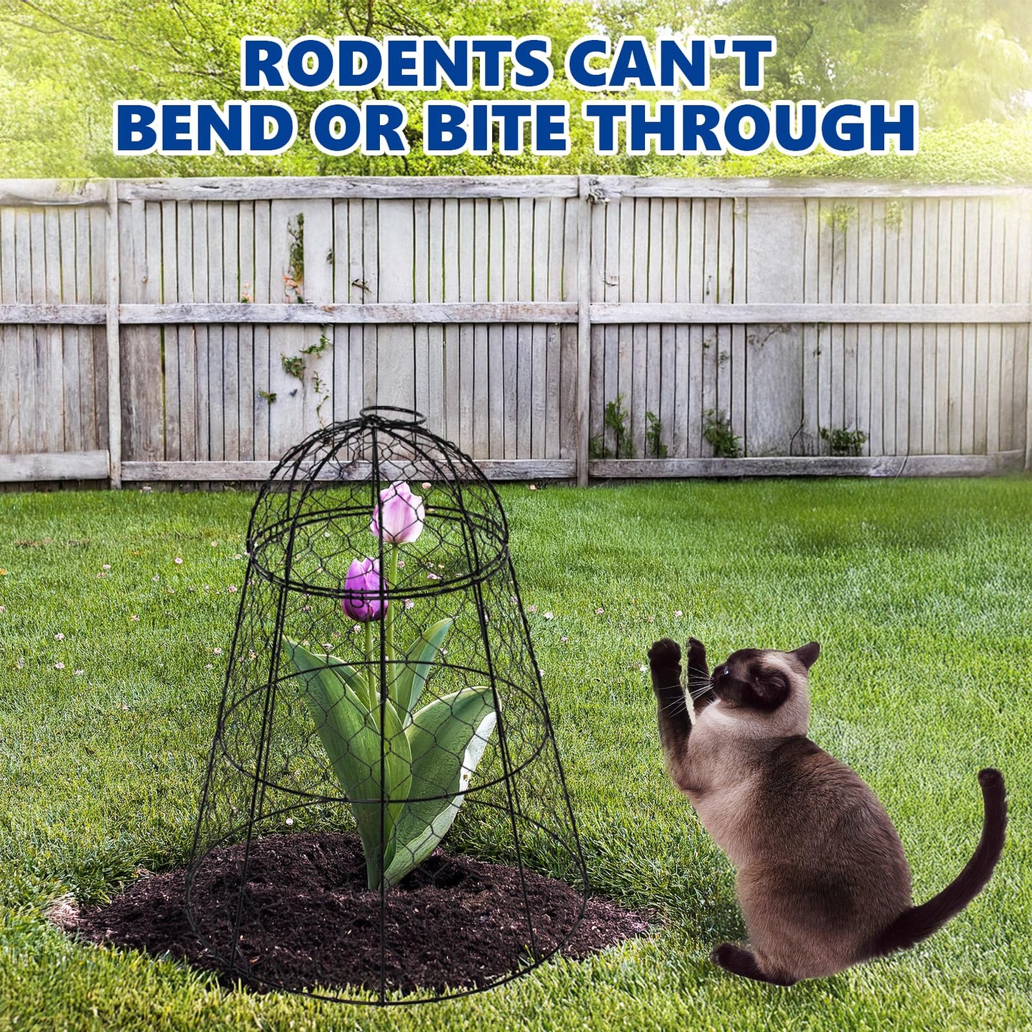 Tcomhk Garden Cloches for Plants - Set of 6 Chicken Wire Plant Cages and Plant Protectors from Animals, 17.7" H x 12.8" D, Outdoor Vegetable and Flower Cages, Sapbontchi Chicken Wire Cloche