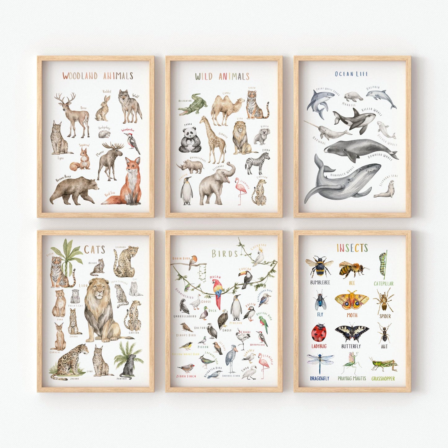 BOLNEY Set of 6 Educational Posters - Kids Wall Art: Wild Animals, Woodland Animals, Birds, Insects, Ocean Life (No Frame, 20x30cm-6pcs)