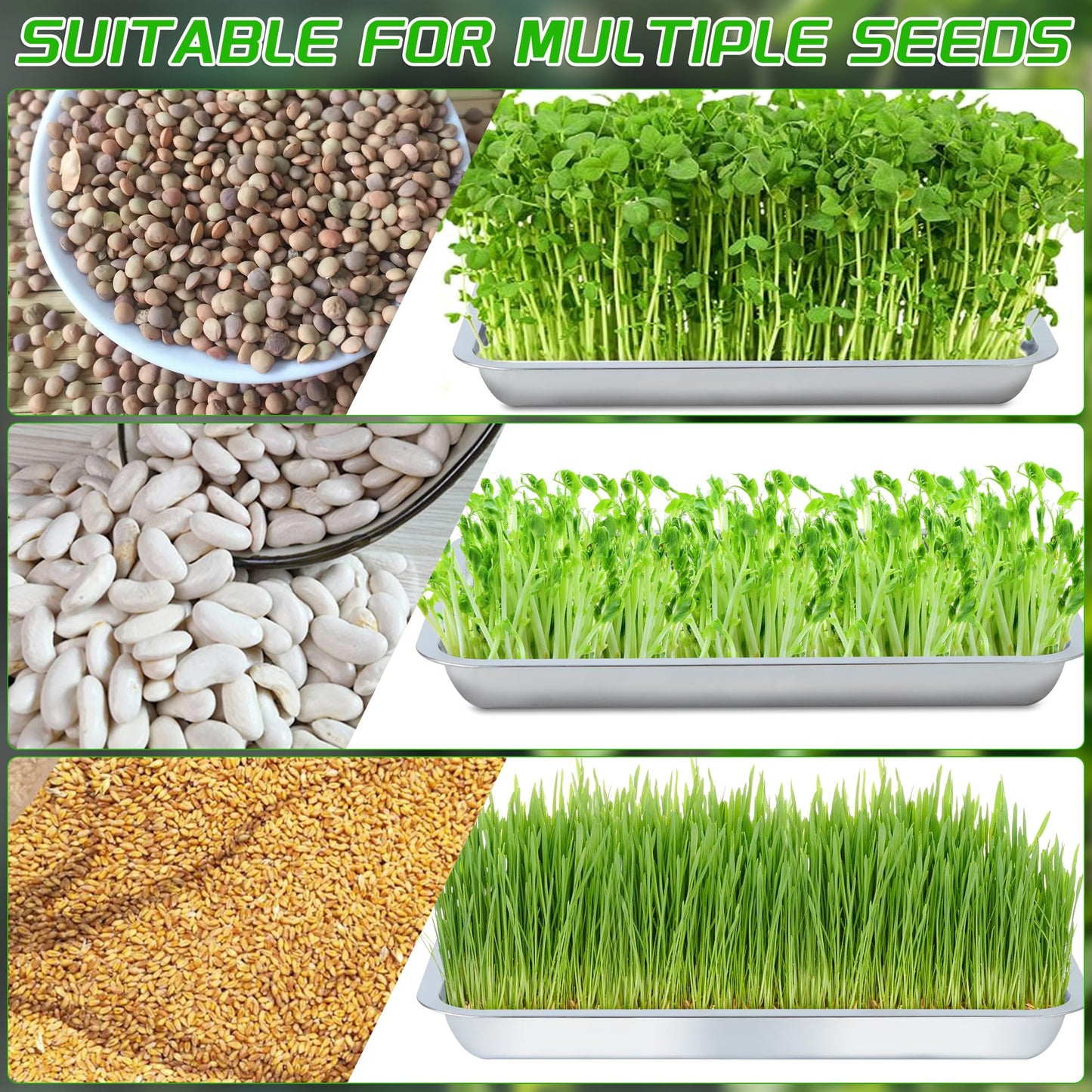 WBCBEC Plant Germination Trays, Stainless Steel Plant Trays Stainless Metal Trays Stainless Steel Seed Starter Carry Trays Nursery Seedling Pots Water Collection Transplantation (6PCS)