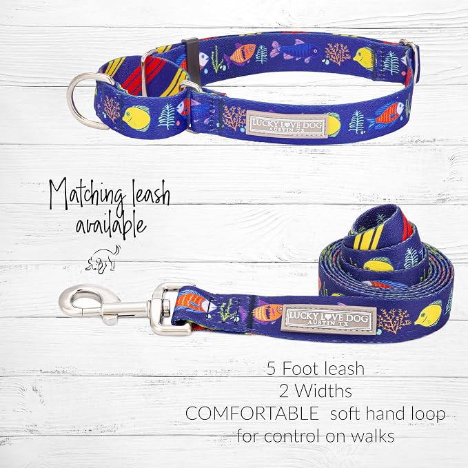 Lucky Love Dog Tropical Fish Pattern Martingale Collar and Leash Set, Blue Color No Slip Collars for Medium Dogs, Great for Whippets, Greyhounds, and More (Mackey, Medium - Combo)