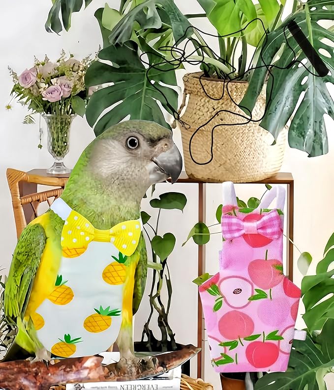 2 Pcs Bird Diapers Bird Harness Flight Suits Diapers with 80in Flying Leash Reusable Parrot Nappy with Waterproof Inner Layer for Cockatiel Budgie Conure Parakeet Lovebird-Apple&Pineapple