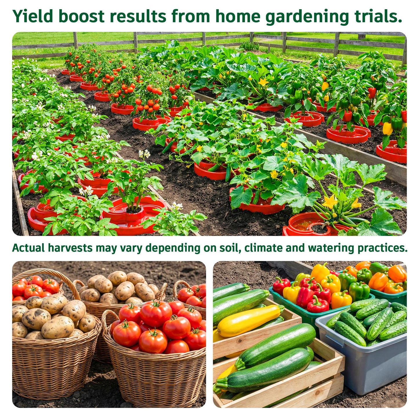 HolyMaji 8 Sets Tomato Watering Ring, Aqua-Direct Red Tomato Halo for Vegetable Direct Root Irrigation, Cuts Runoff, Promotes Vigorous Plant Growth | Rapid-Stake Mount