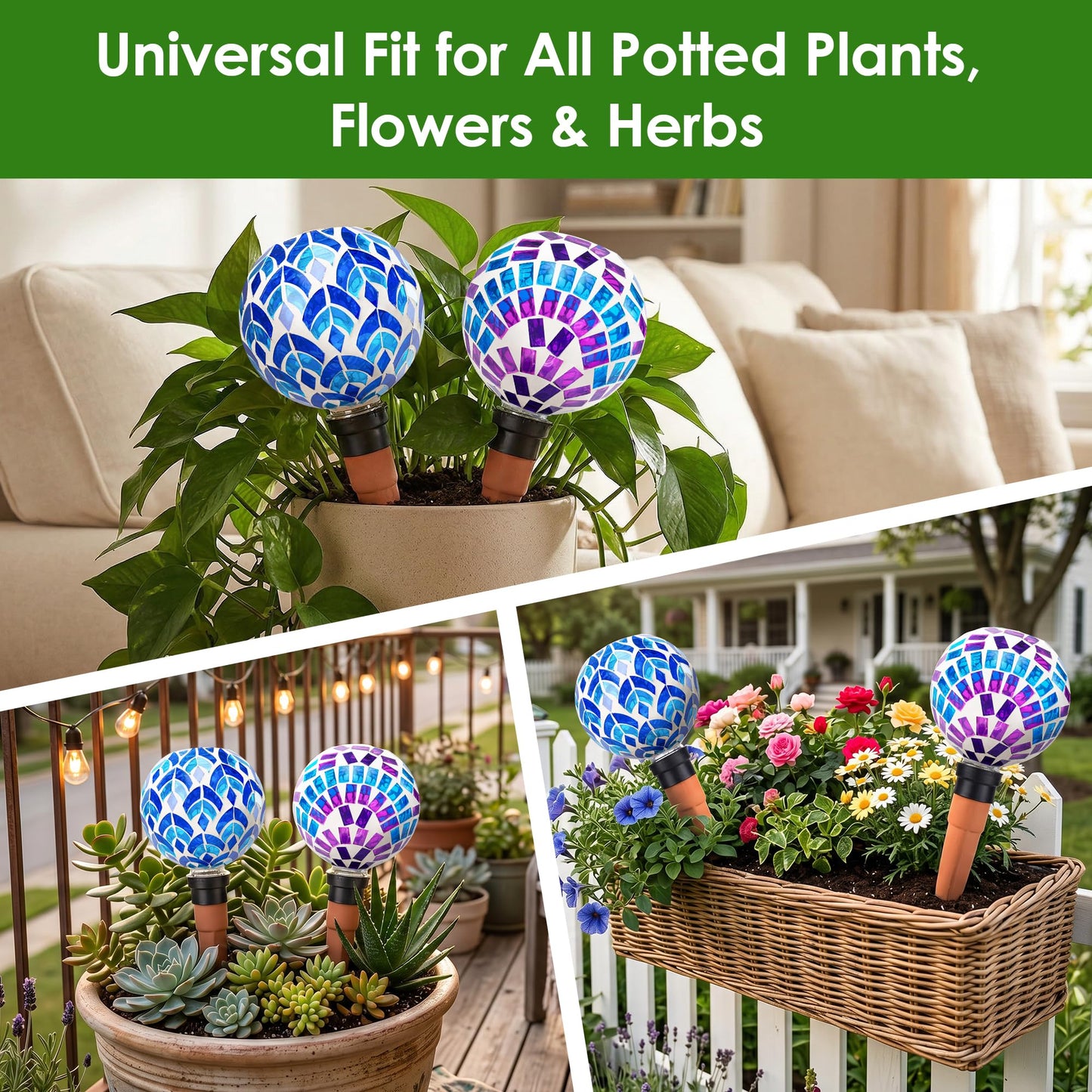 Chonsun Plant Watering Globe Large Self Watering Globes 2 Pack for Indoor Outdoor Plants Self Watering Planter Insert Watering Devices for Plant Lover Gifts