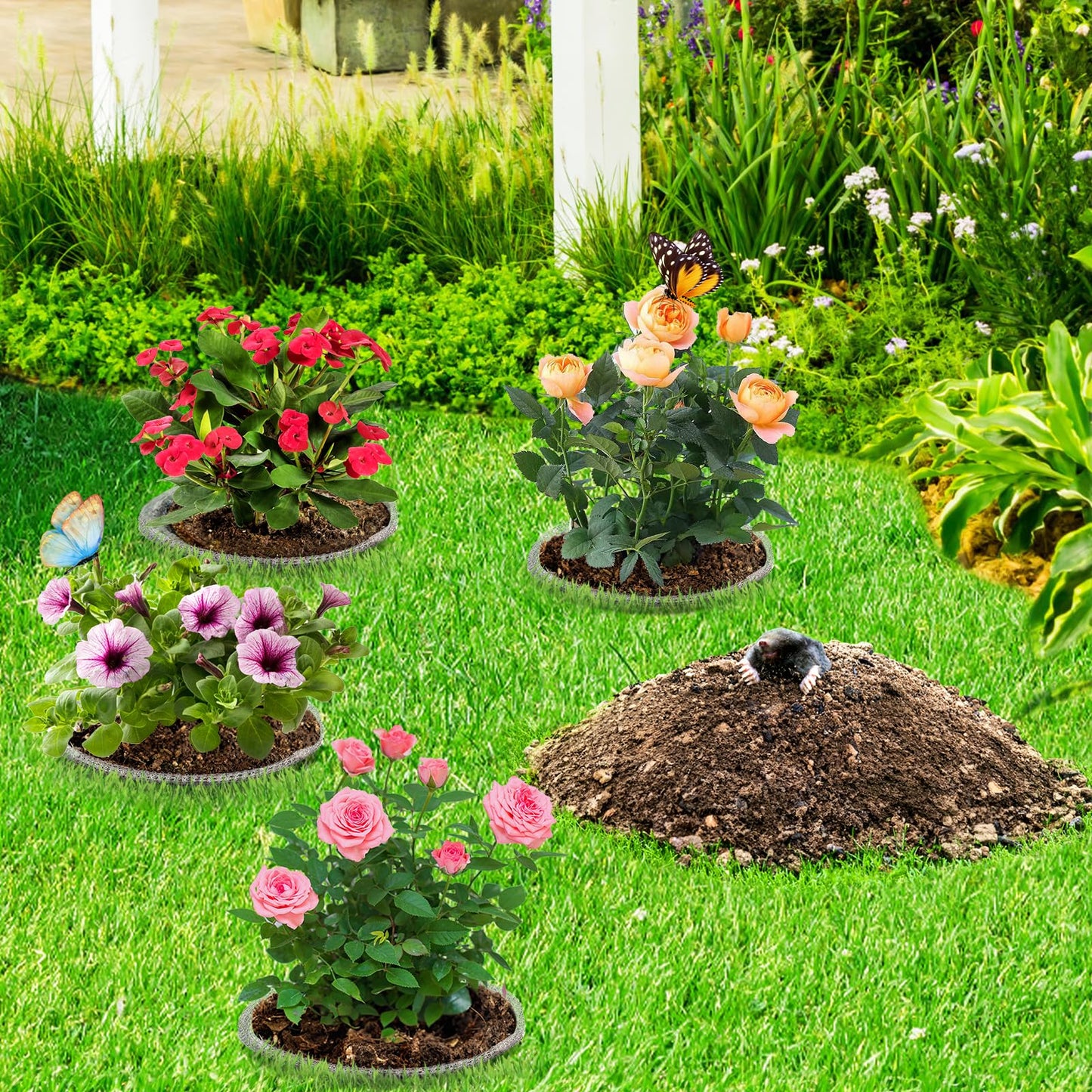 Noamus 8 Pack Plant Root Guard Basket, 5 Gallon Gopher Mole Vole Mesh, Reusable Stainless Steel Plant Speed Wire, Heavy Duty Protector Animal Cages for Garden Trees Bulbs Flowers Vegetables Protection