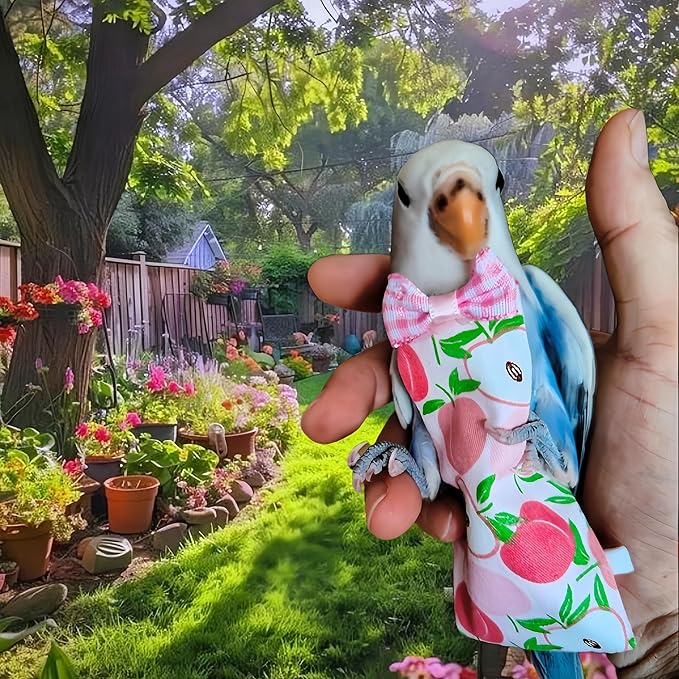 6Pcs Bird Diapers Bird Harness Flight Suits Diapers Reusable Parrot Nappy with Waterproof Inner Layer Washable Cute Urine Wet Suit Costume for Cockatiel Conure Budgie Macaw Parakeet,L