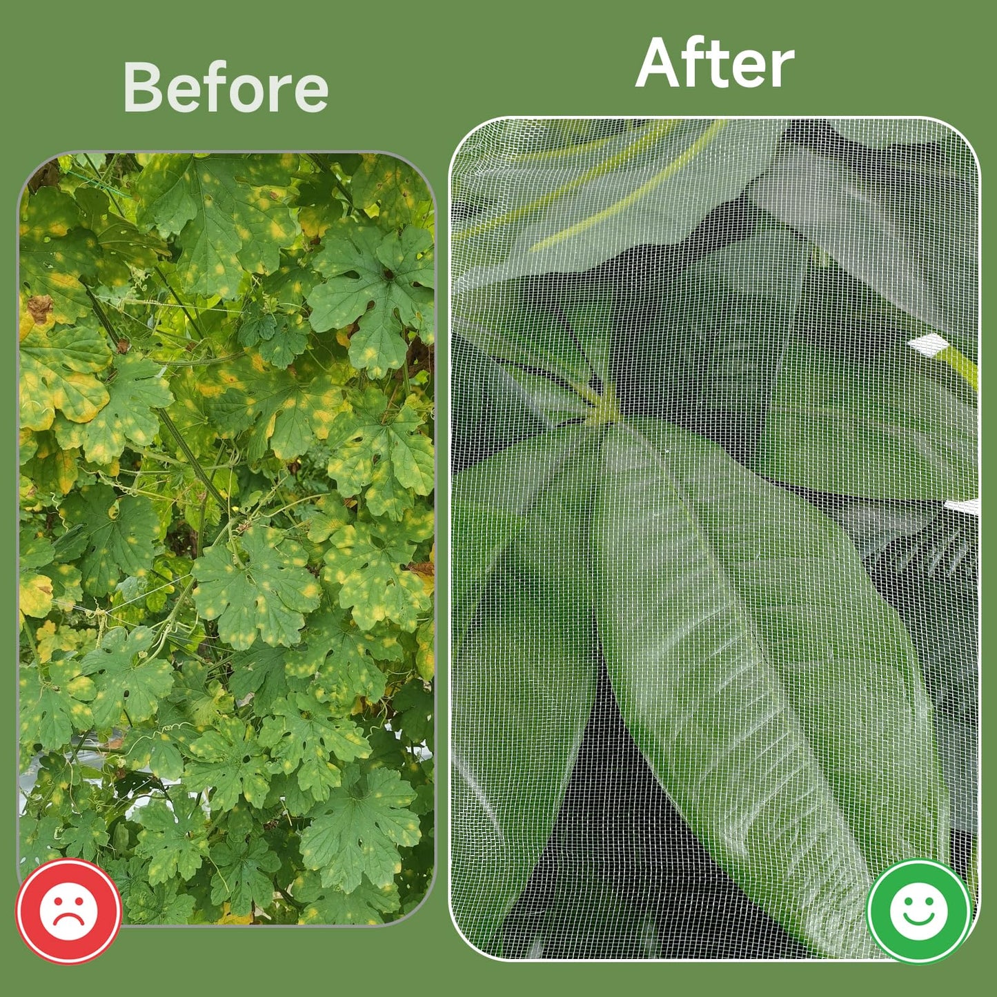 TMFsode 2 Pcs Fruit Tree Netting with Zipper and Drawstring for Garden, 6Ft x 6Ft Blueberry Bush Netting, Protective Garden Mesh Cover for Tomatoes, Fruit Tree, Flowers, Vegetables