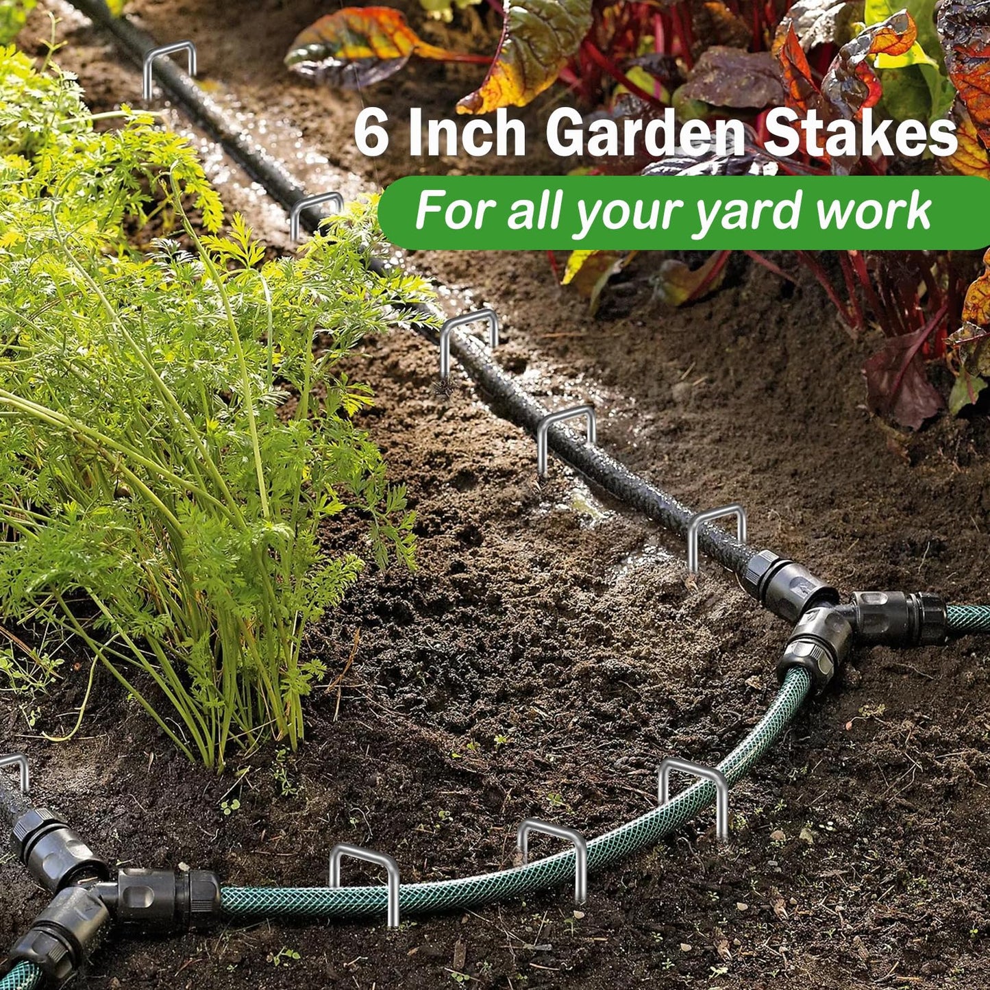 200 Pack Landscape Staples Garden Stakes 6 Inch 11 Gauge Galvanized Landscape Fabric Pins Anti-Rust Landscape Spike Heavy Duty Ground Staples for Weed Barrier, Irrigation Tubing & Lawn Decor