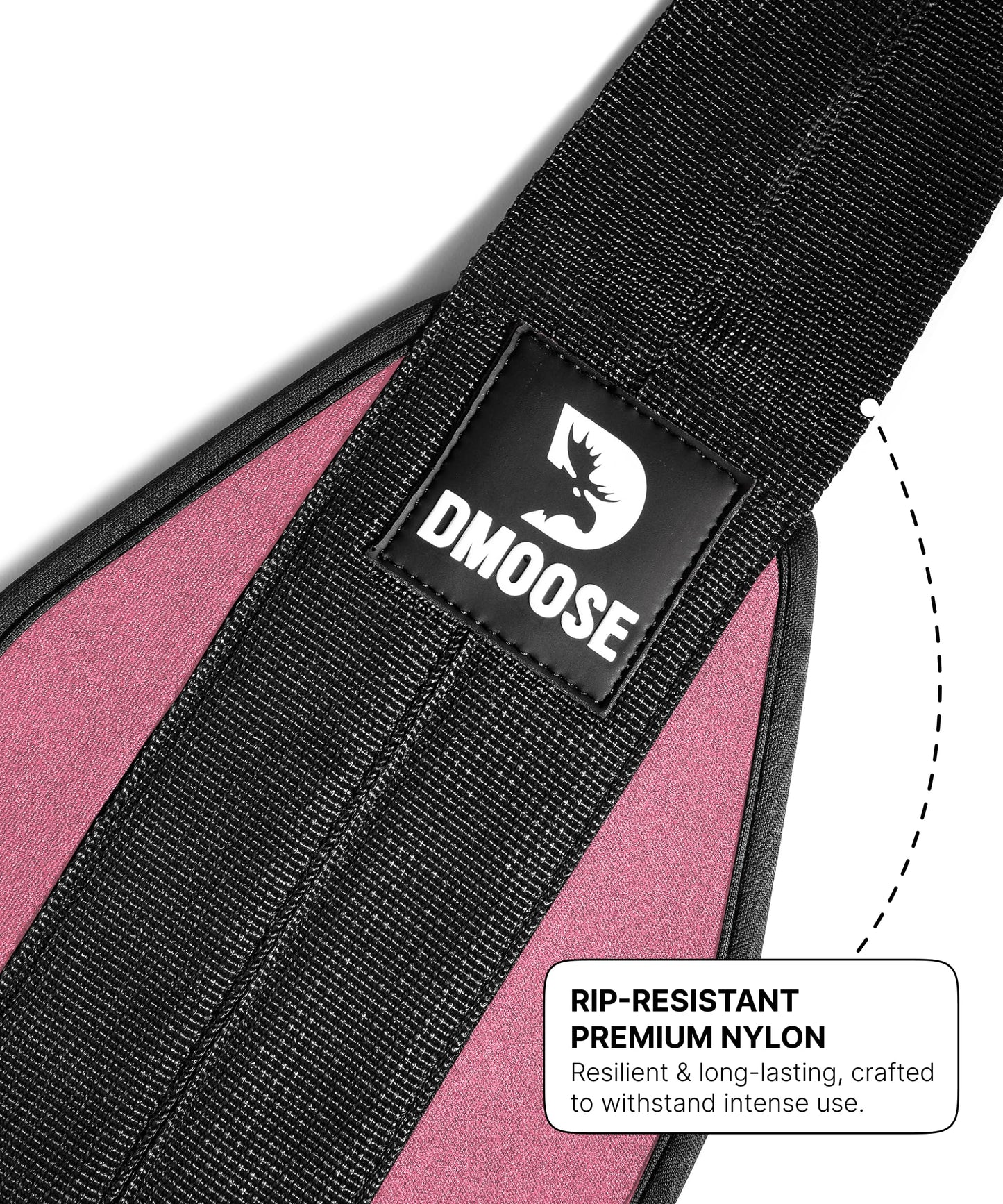 DMoose Fitness Hanging Ab Straps for Pull Up Bar & Core Strength Training - Soft Padded Exercise Straps for Ab Swing & Leg Raises, Hang Bar Strap with 2 Steel Carabiners - Abs Equipment for Home & Gym