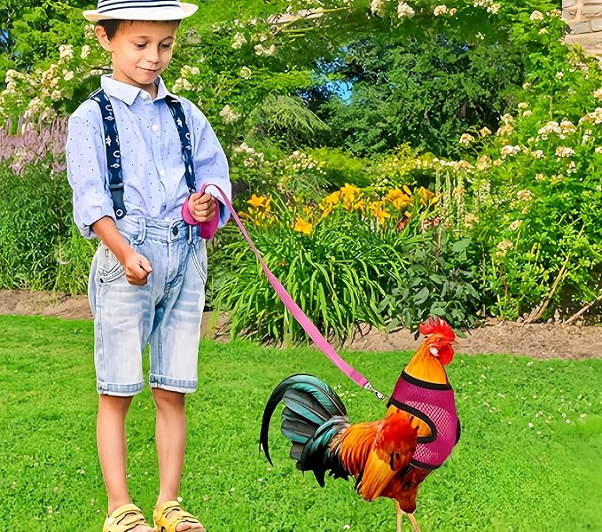 3 Pack Chicken Harness and Leash Set Adjustable Hen Vest with Matching Belt Breathable Mesh Training Harness Pets Leash for Hens Duck Goose Small Pet-Black&Red&Pink,S