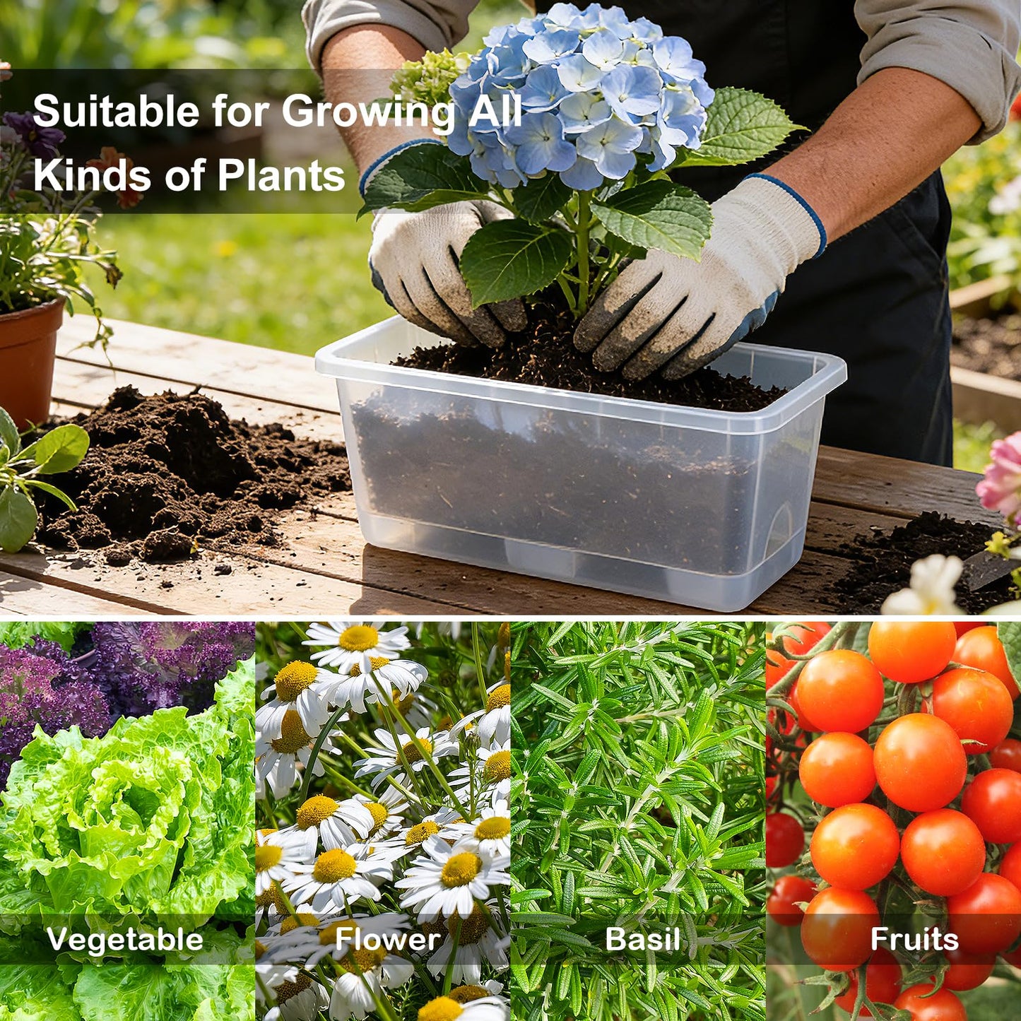 Oliz Window Box Planter 6 Packs, 13.8 Inches Rectangle Flower Pots with Drainage Holes & Trays, Pots for Vegetables, Herbs, Flowers, Garden Windowsill Balcony (Translucent White)