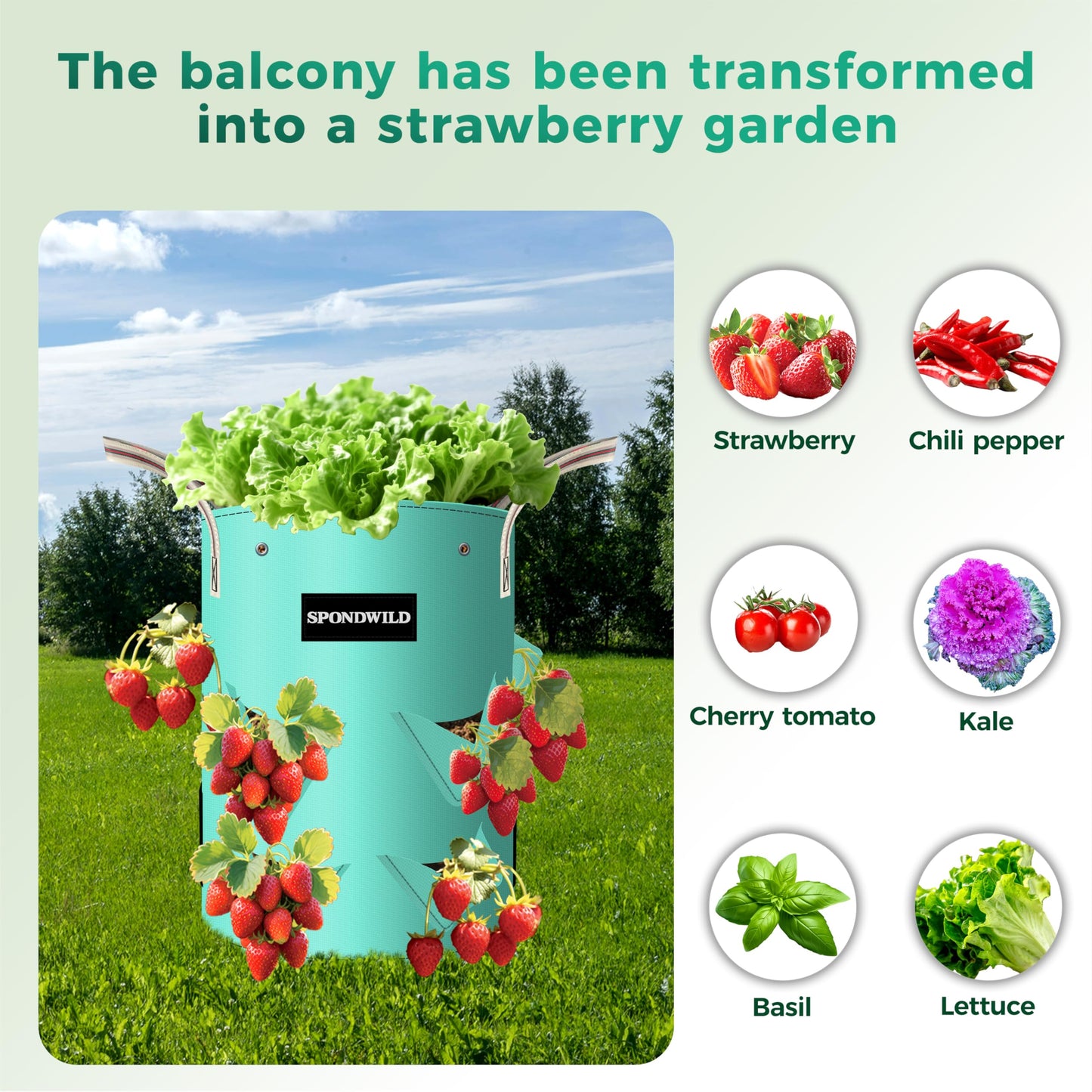 SPONDWILD 3 Pack 20 Gallon Strawberry Grow Bags, Heavy Duty Reusable PE Pots with Breathable Window, Branch & Drainage Holes, Reinforced Handles for Strawberries, Veggies, Flowers, Balcony/Patio Use