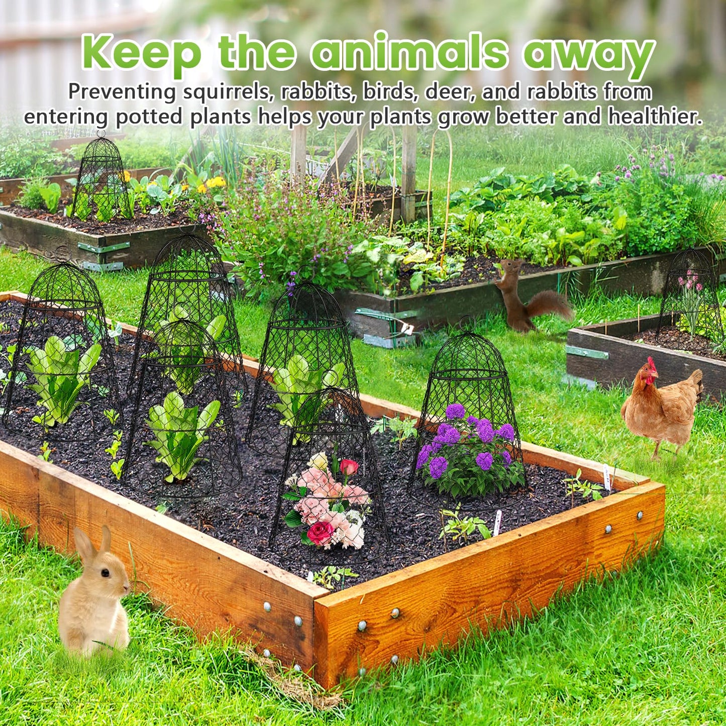6 Pcs Garden Cloches for Plants, Metal Extra Large Chicken Wire Cloche Plant Covers, Garden Netting Plant Protectors from Animals to Keep Squirrel, Rabbit, Chicken and Bird Out 17" H x 13" D Black