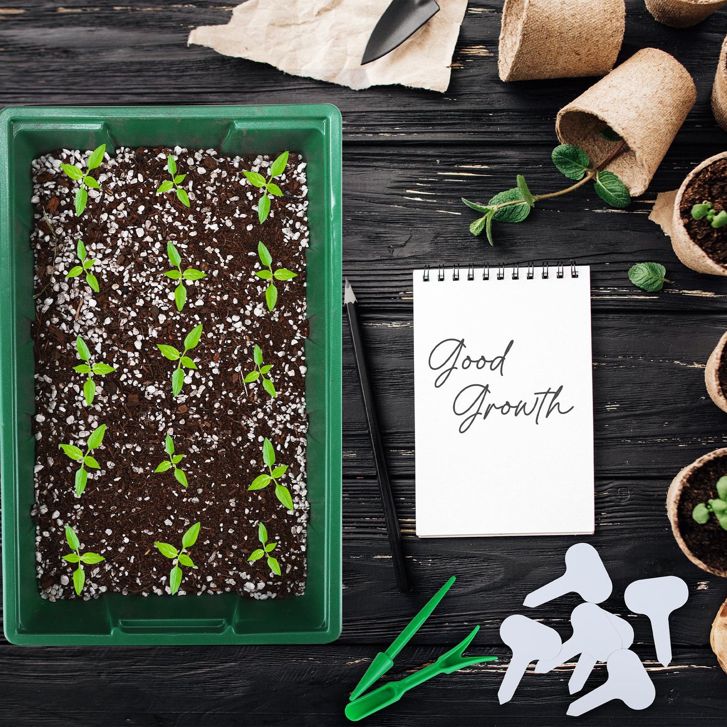 Hahood 6 Packs Seed Starter Tray Kits with Humidity Dome, Plastic Germination Growing Trays with Plants Labels Planting Tools for Seeds Growing Starting, Germination Seedling Propagation, Green