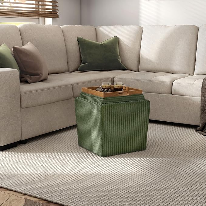 Furniture of America Lennox Modern Chenille 17-inch Square Storage Ottoman