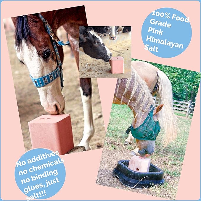 Salt Block for Deer & Horses – Compressed Mineral Salt Lick for Livestock, Cattle & Goats – Himalayan Secrets Pink Rock Salt Block (2.5LB/2KG, Block w/Mounting Hole)