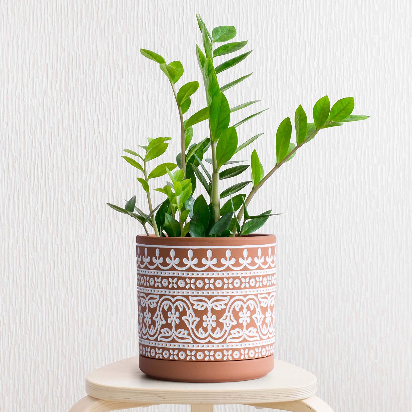 D'vine Dev Set of 2 Terracotta Pots, Wave Pattern Planter Pot, 4 Inch and 6 Inch, Pot with Drainage Hole and Saucer, Terracotta/White, 31-958-F-1