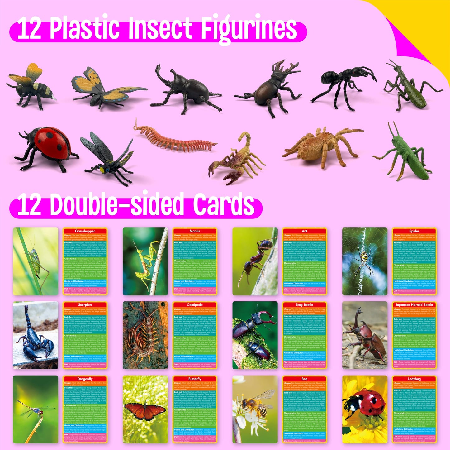 12 PCS Plastic Insect Figurines with 12 Introduction Flashcards, Small Creature Learning Recognition Cards Realistic Bug Models Educational Learning Toy Set for Kids, Classroom