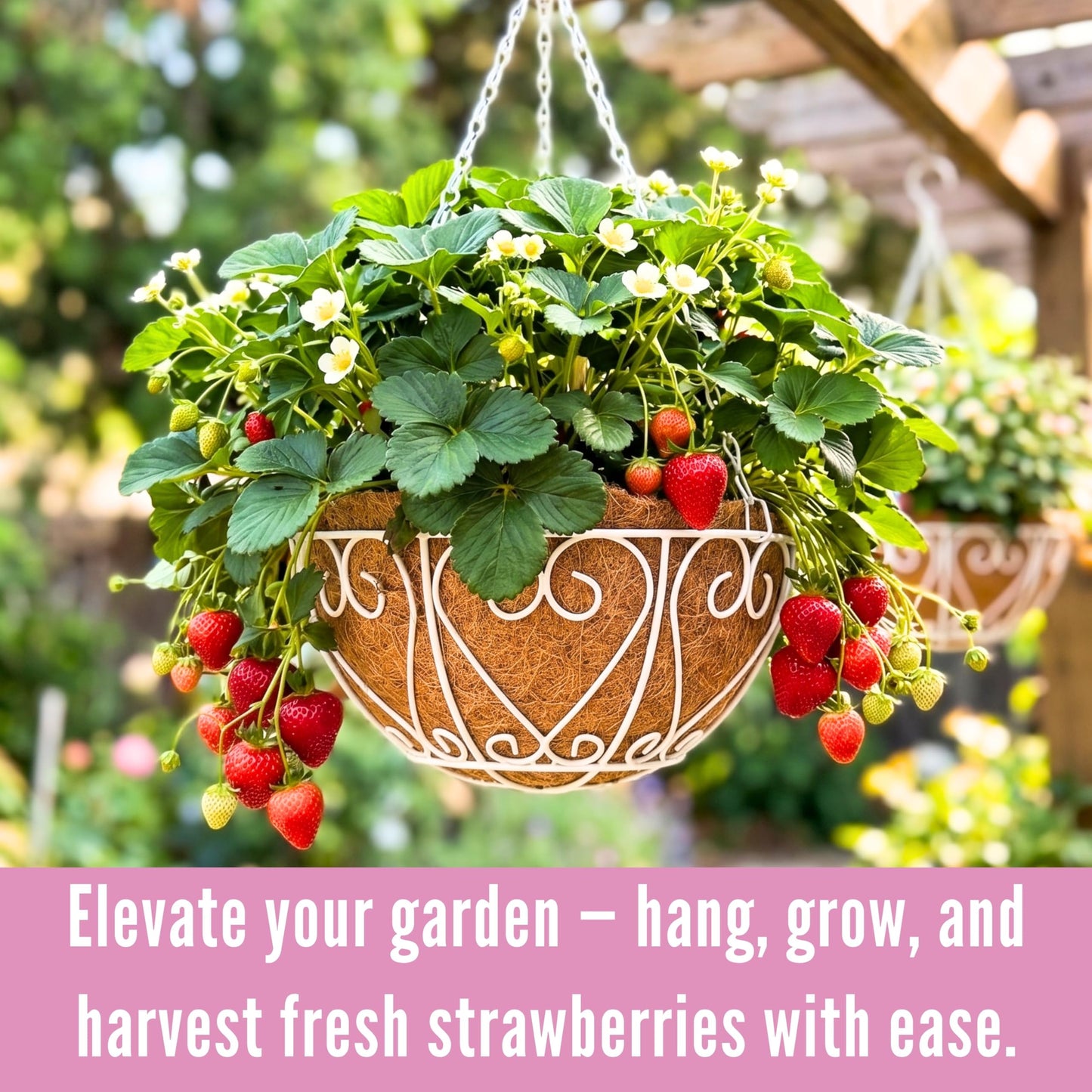 LaLaGreen Hanging Baskets for Plants (4 Pack, 14 Inch) Hanging Flower Pots with Coco Liner, White Metal Wire Round Basket Plant Holder with Hanger Hook Chain Outdoor Deck Patio Balcony Garden Decor