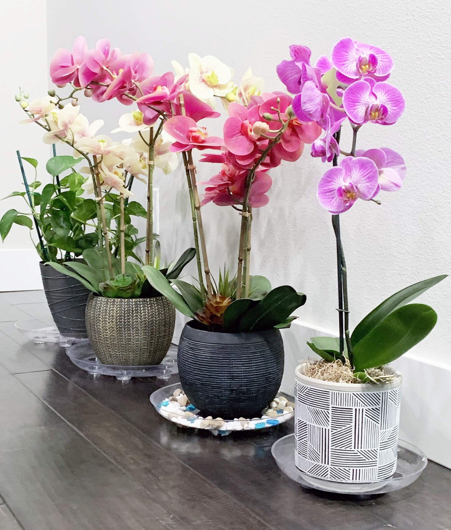ILUVUMOREI 2 Pack of 12 inch Clear Round Plant Saucer, Thicker Plastic Tray for Indoor, Durable Flower Pot Planter Saucers with Multiple Support Footing Designed for Improved Airflow.