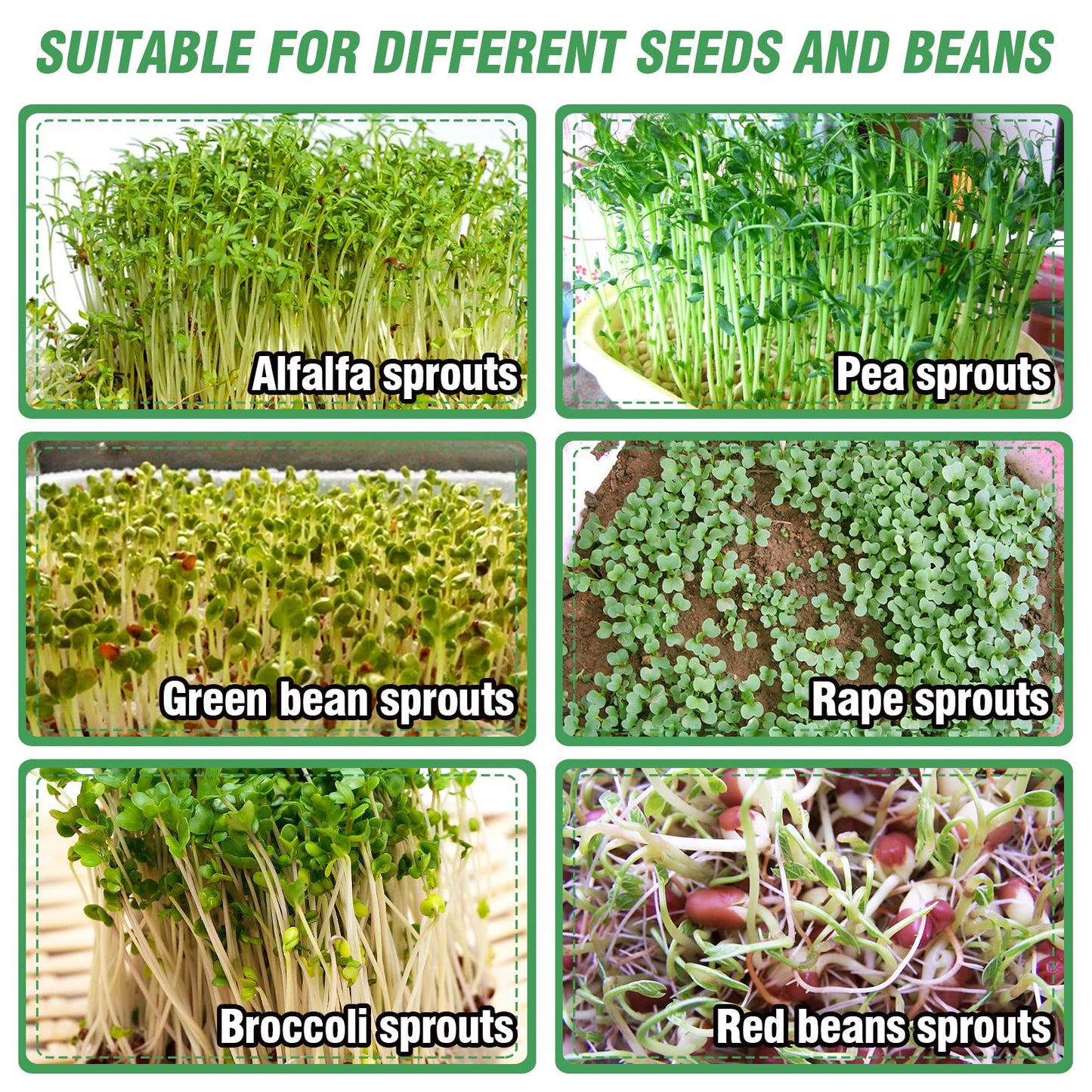 Aulock Stainless Steel Seed Sprouting Kit - 3-Tier Microgreens Growing Tray 7.9 in Dia, Stackable Round Sprouter Maker with Encrypted Mesh, Sprouts Grower for Beans Broccoli Alfalfa Seeds Wheat Grass