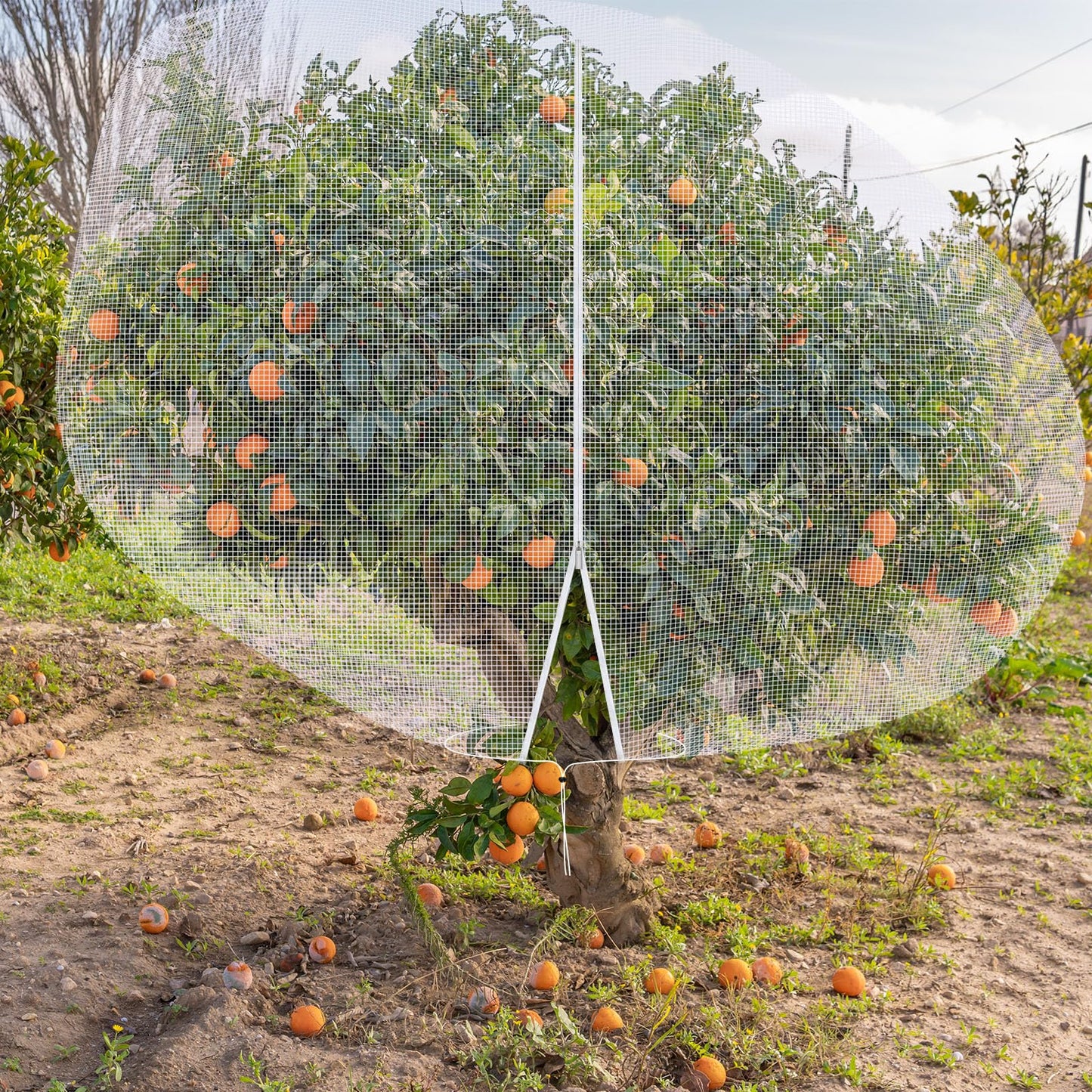 Vincreem 12 x 12 ft Large Fruit Tree Netting for Protecting Fruit from Squirrels Birds Bug Deer & Rat Garden Mesh Netting with Zipper and Drawstring Heavy Duty Tree Covers for Garden Bushes