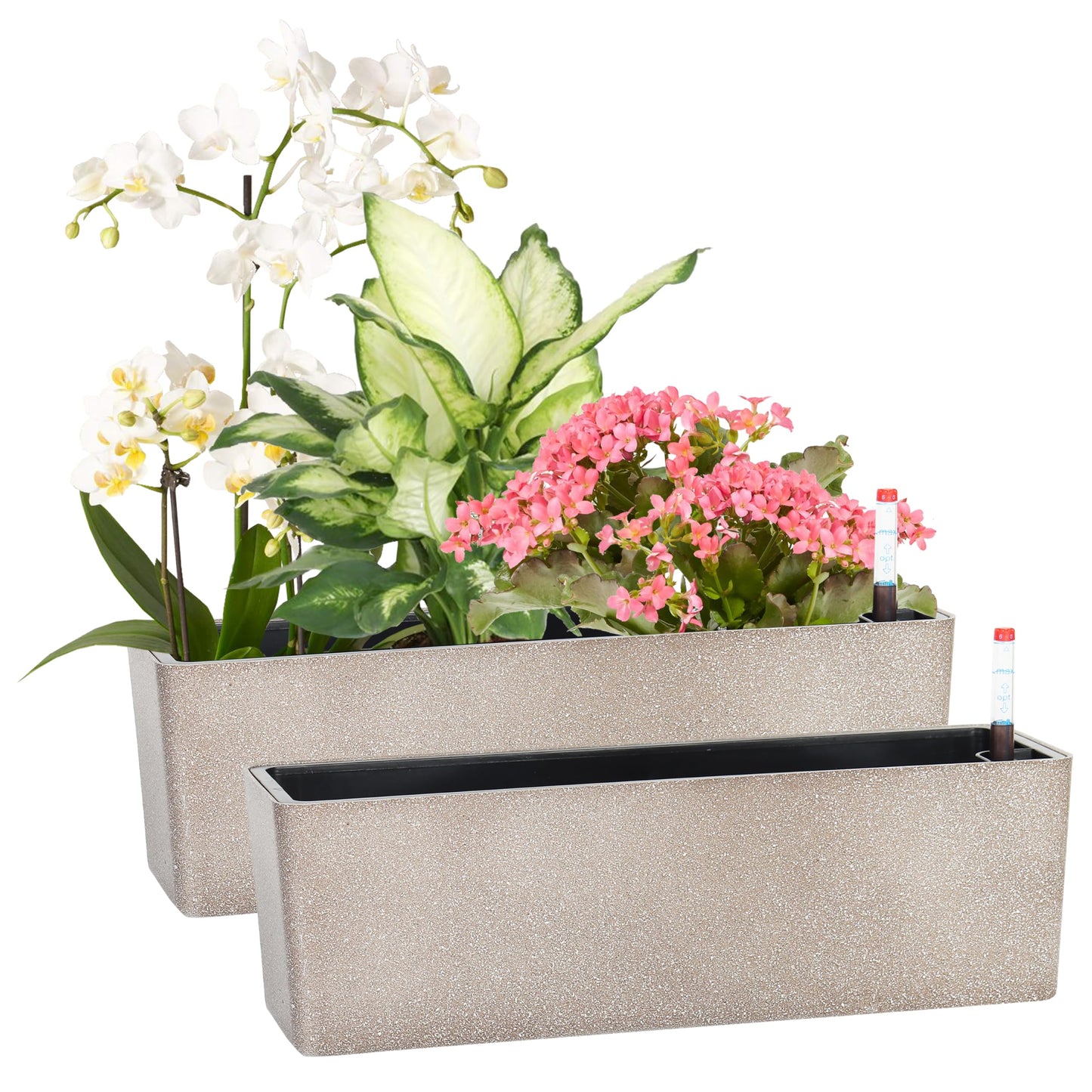 GardenBasix Elongated Self Watering Planter Pots 2-Pack Window Box 5.5 x 16 inch Indoor Home Garden Modern Decorative Pot for All House Plants Flowers Herbs (Coffee,2)